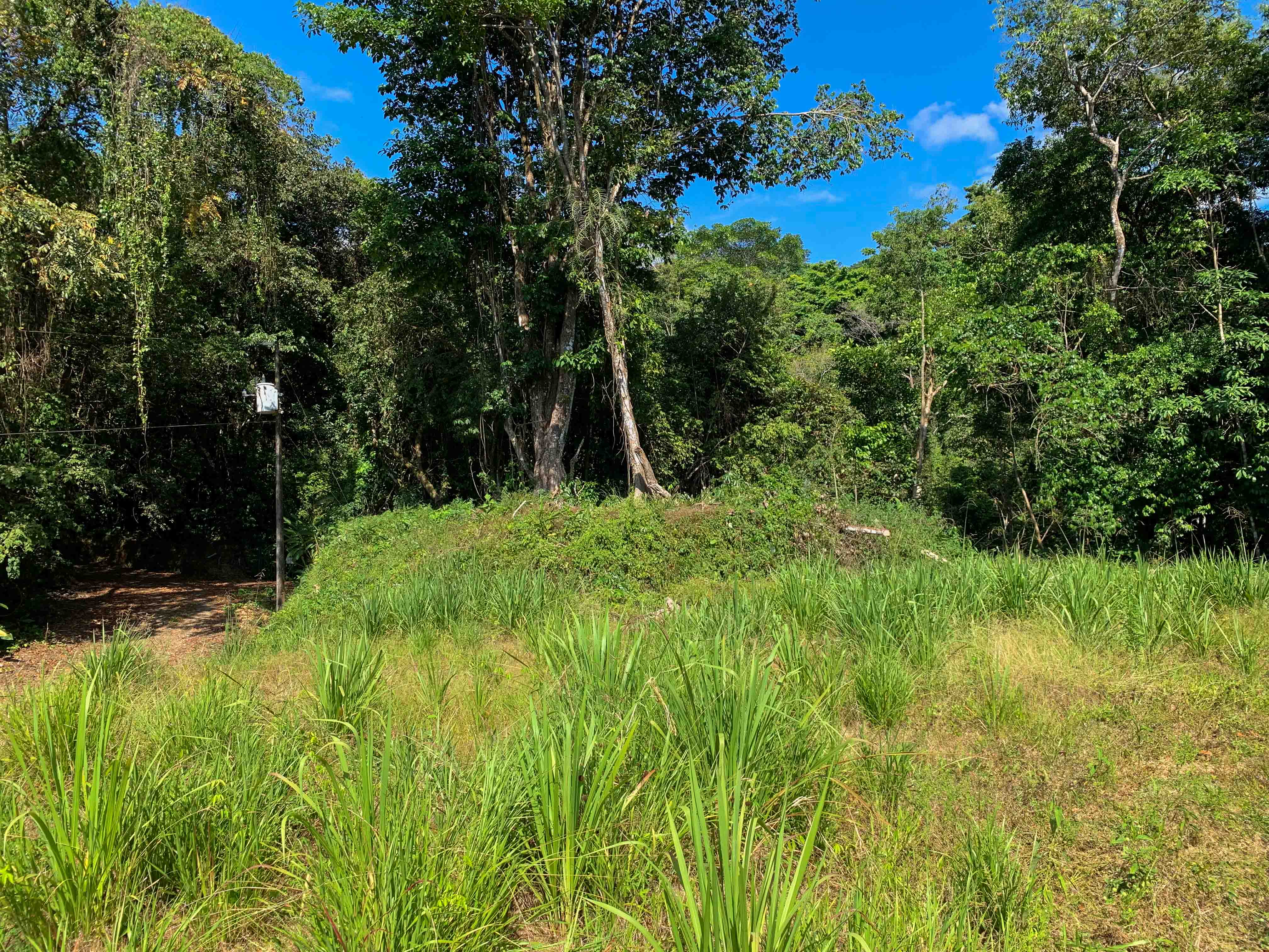 0 bed Land For Sale in Savegre, Puntarenas - thumb 2