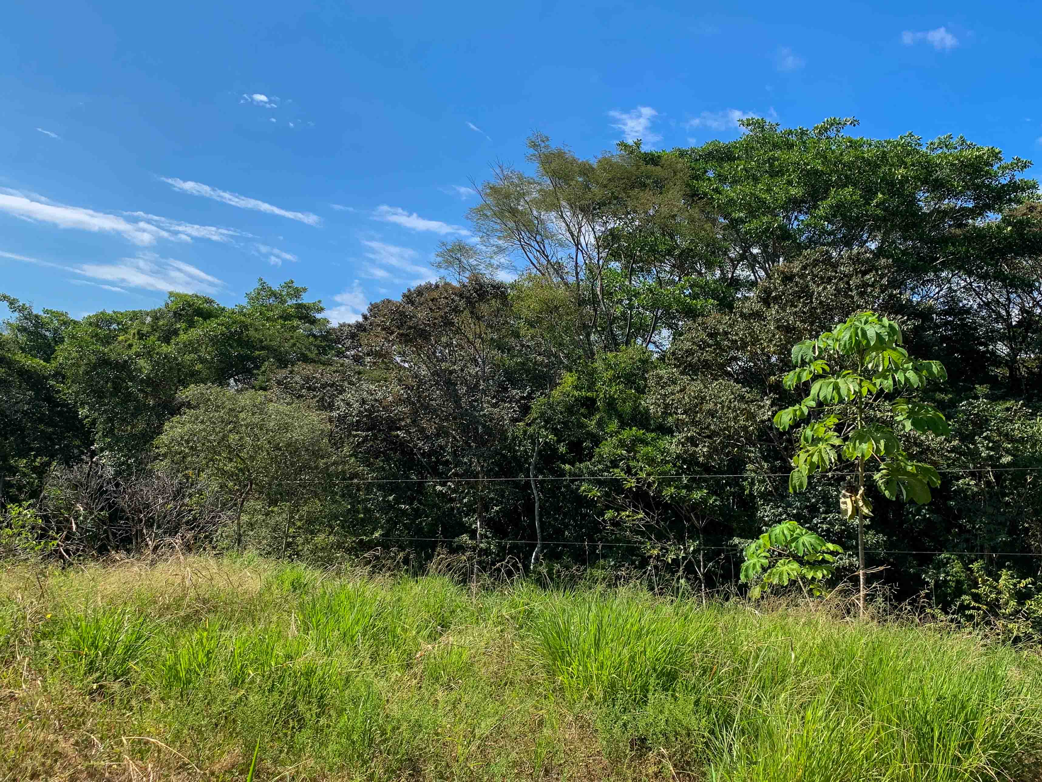 0 bed Land For Sale in Savegre, Puntarenas - thumb 7