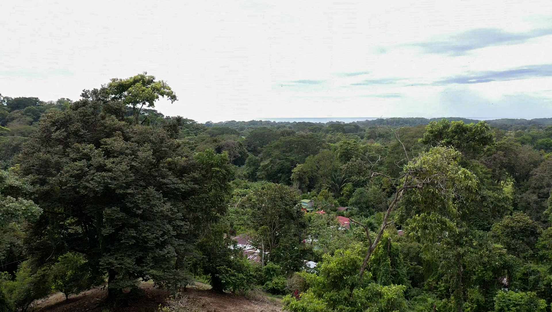 0 bed Land For Sale in Savegre, Puntarenas - thumb 12