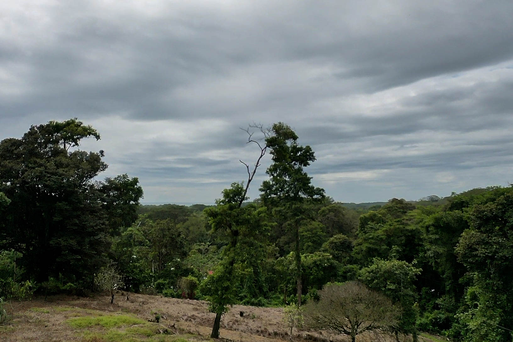 0 bed Land For Sale in Savegre, Puntarenas - thumb 8
