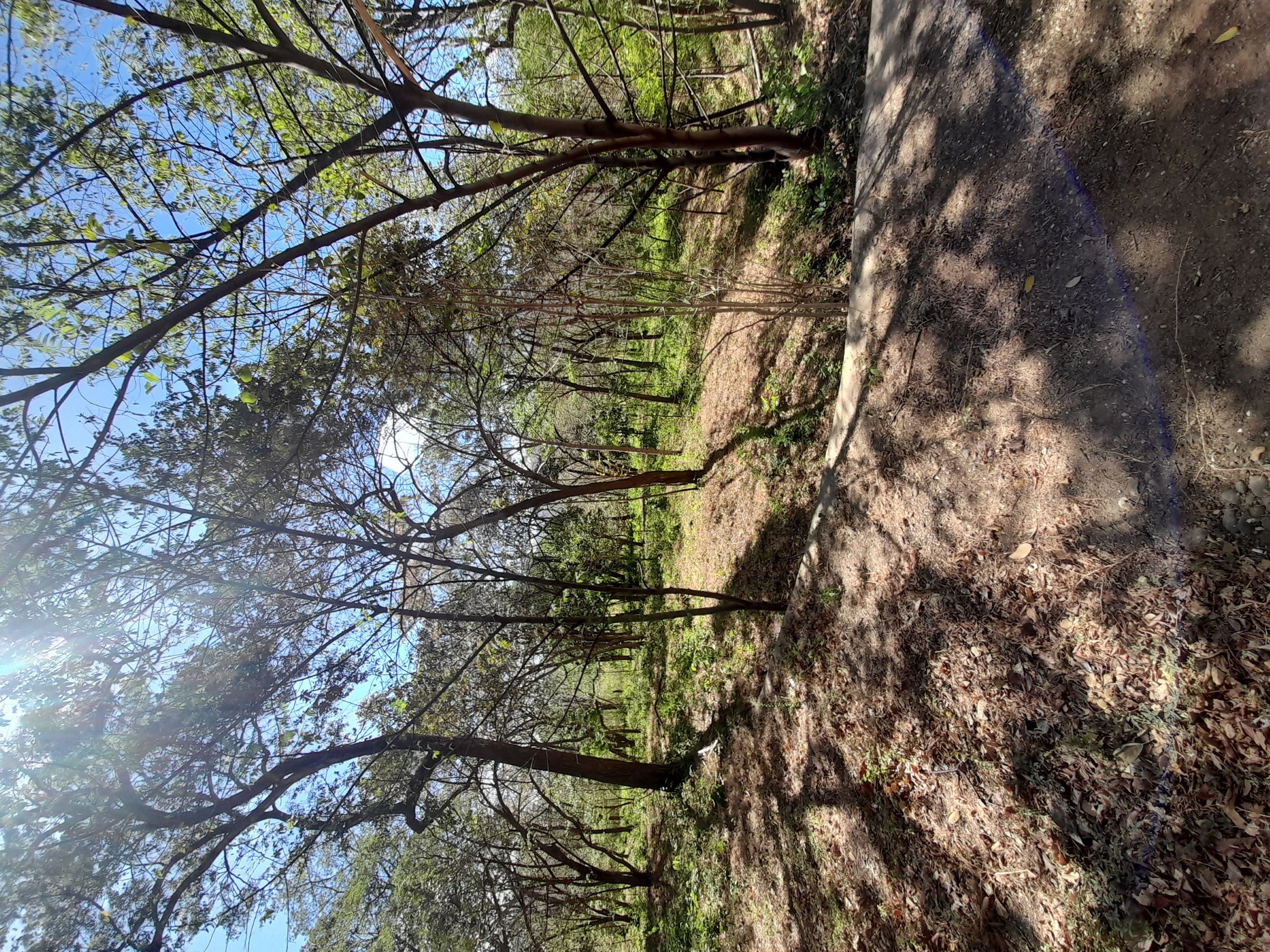 0 bed Land For Sale in Tamarindo, Guanacaste - thumb 3