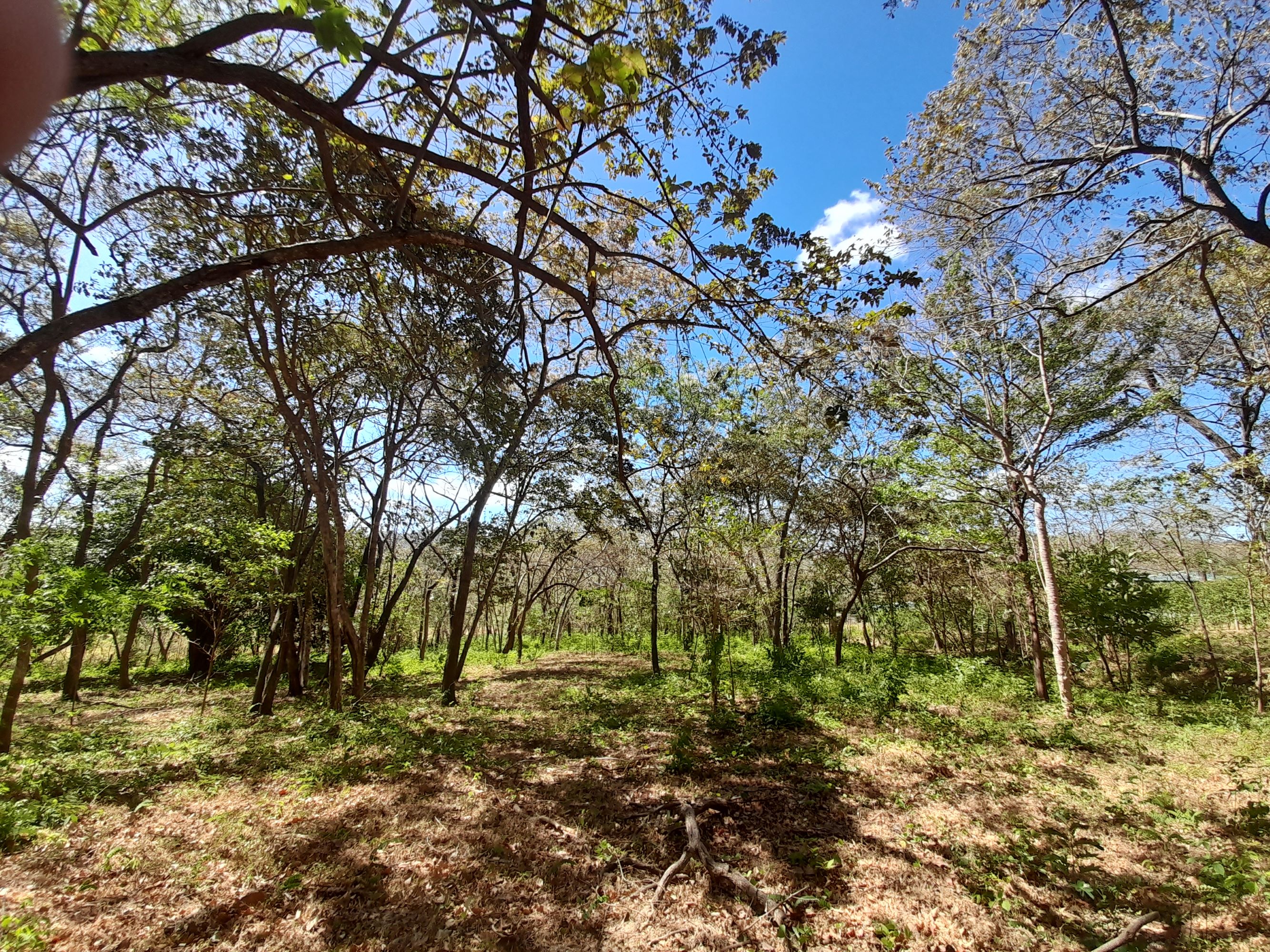 0 bed Land For Sale in Tamarindo, Guanacaste - thumb 5
