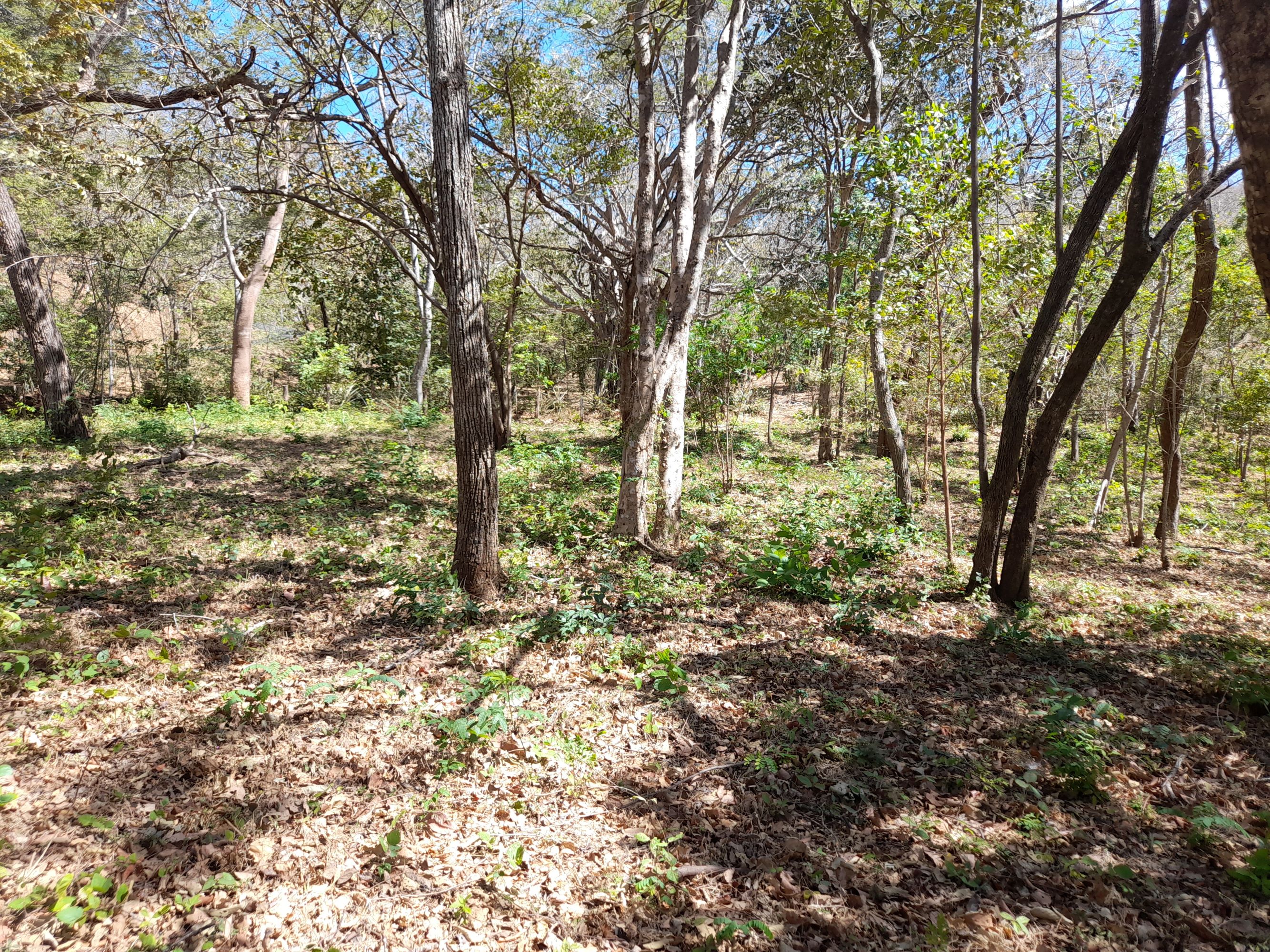 0 bed Land For Sale in Tamarindo, Guanacaste - thumb 8