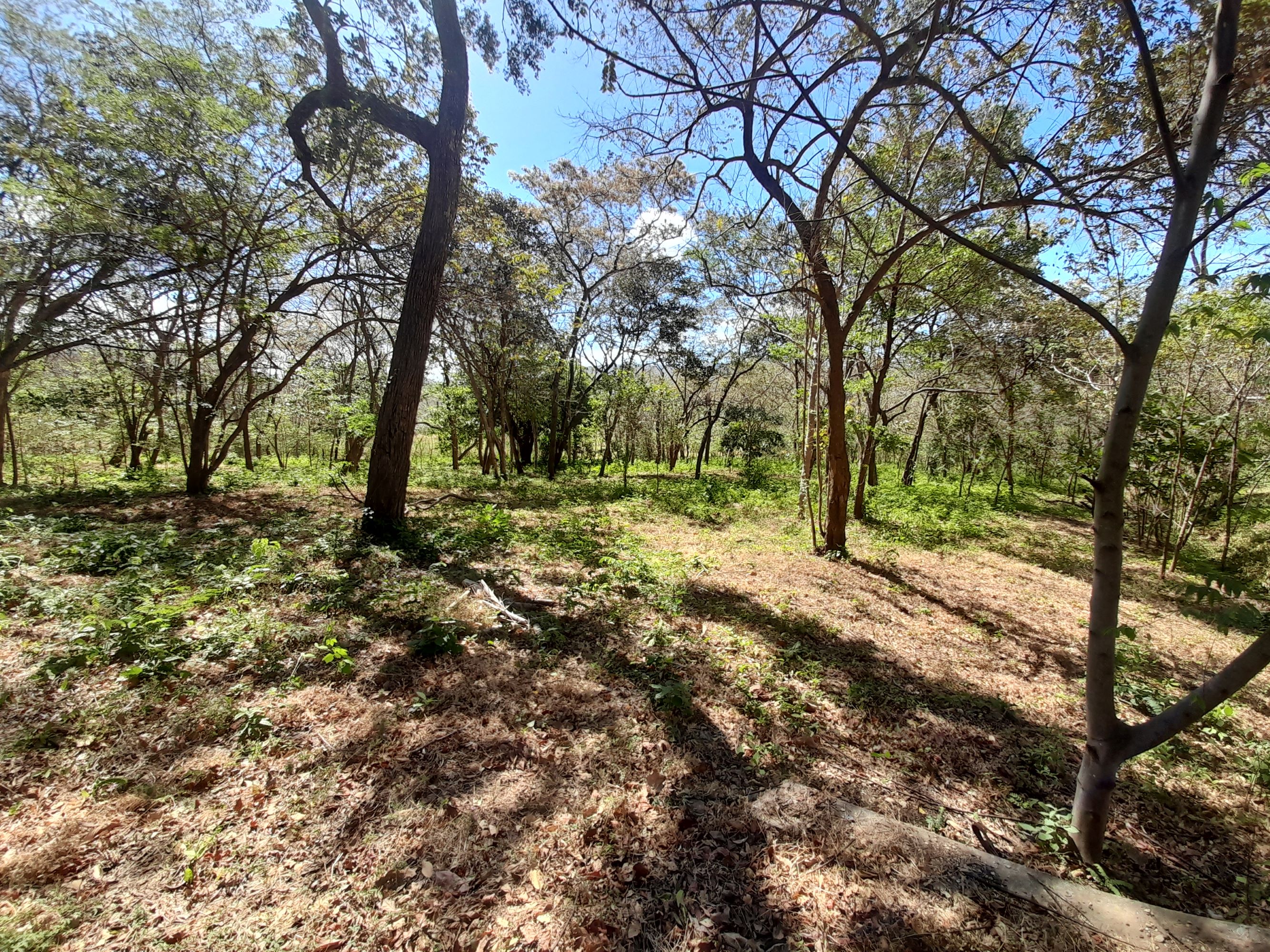 0 bed Land For Sale in Tamarindo, Guanacaste - thumb 4