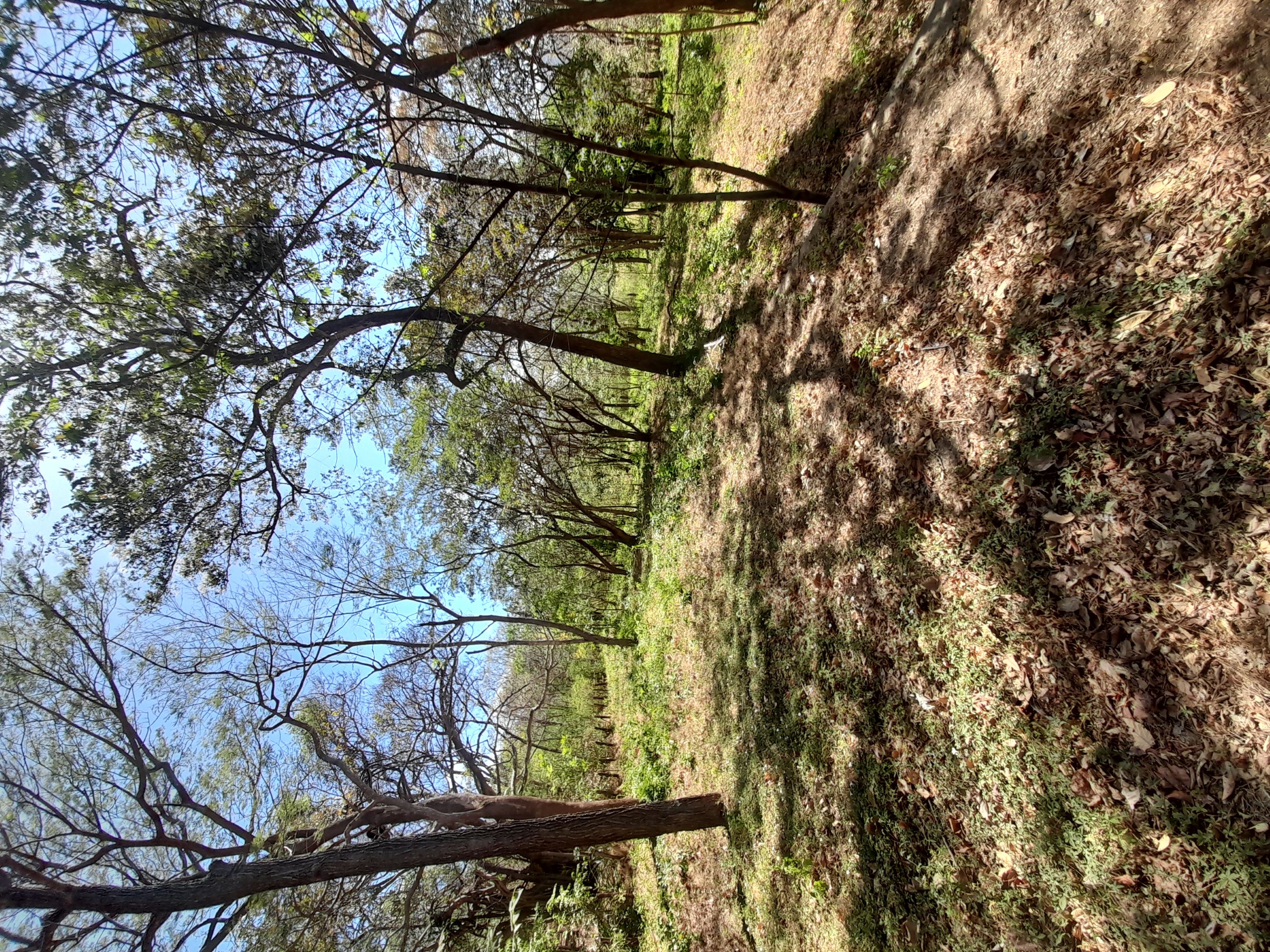 0 bed Land For Sale in Tamarindo, Guanacaste - thumb 2