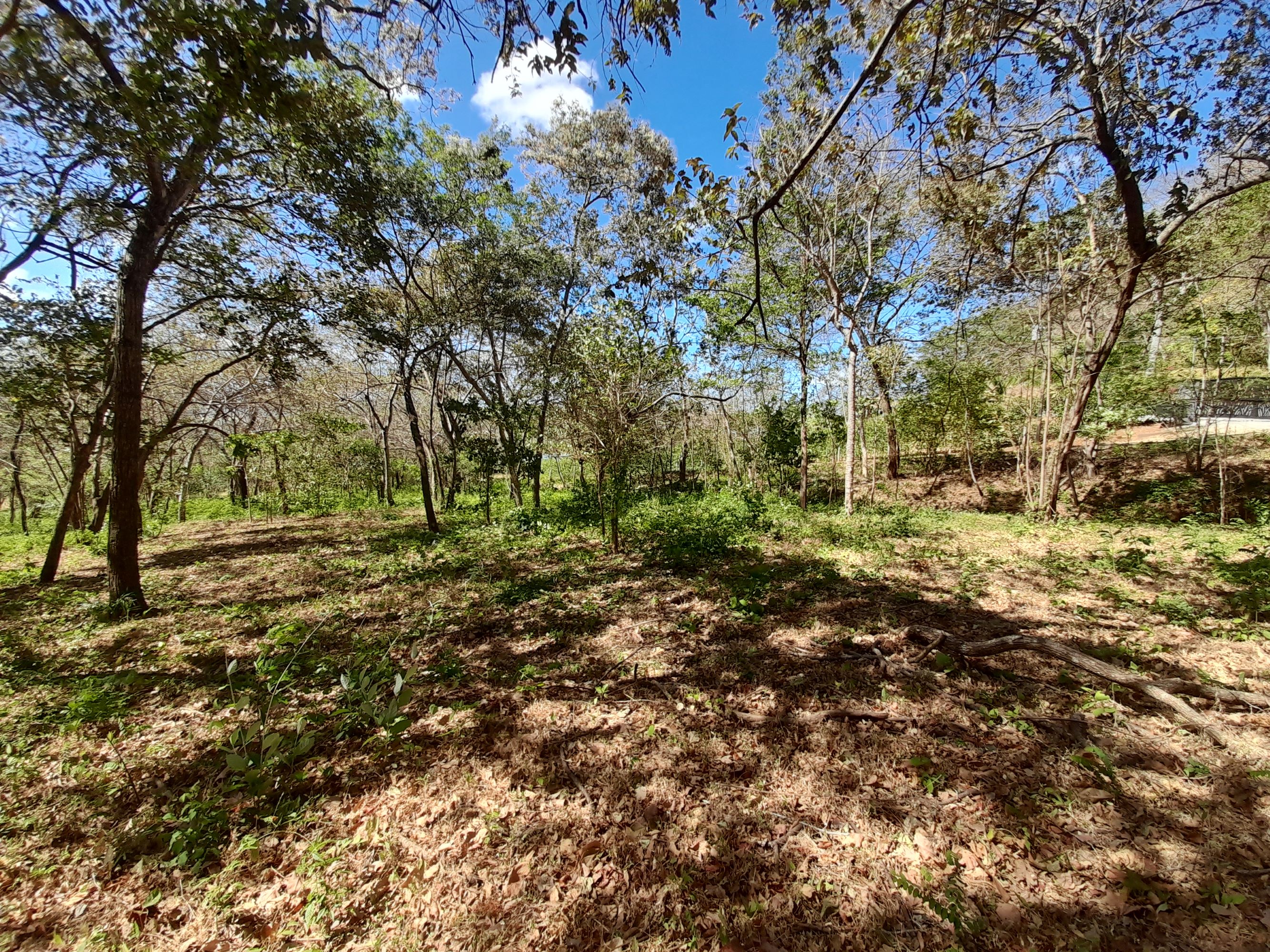0 bed Land For Sale in Tamarindo, Guanacaste - thumb 6