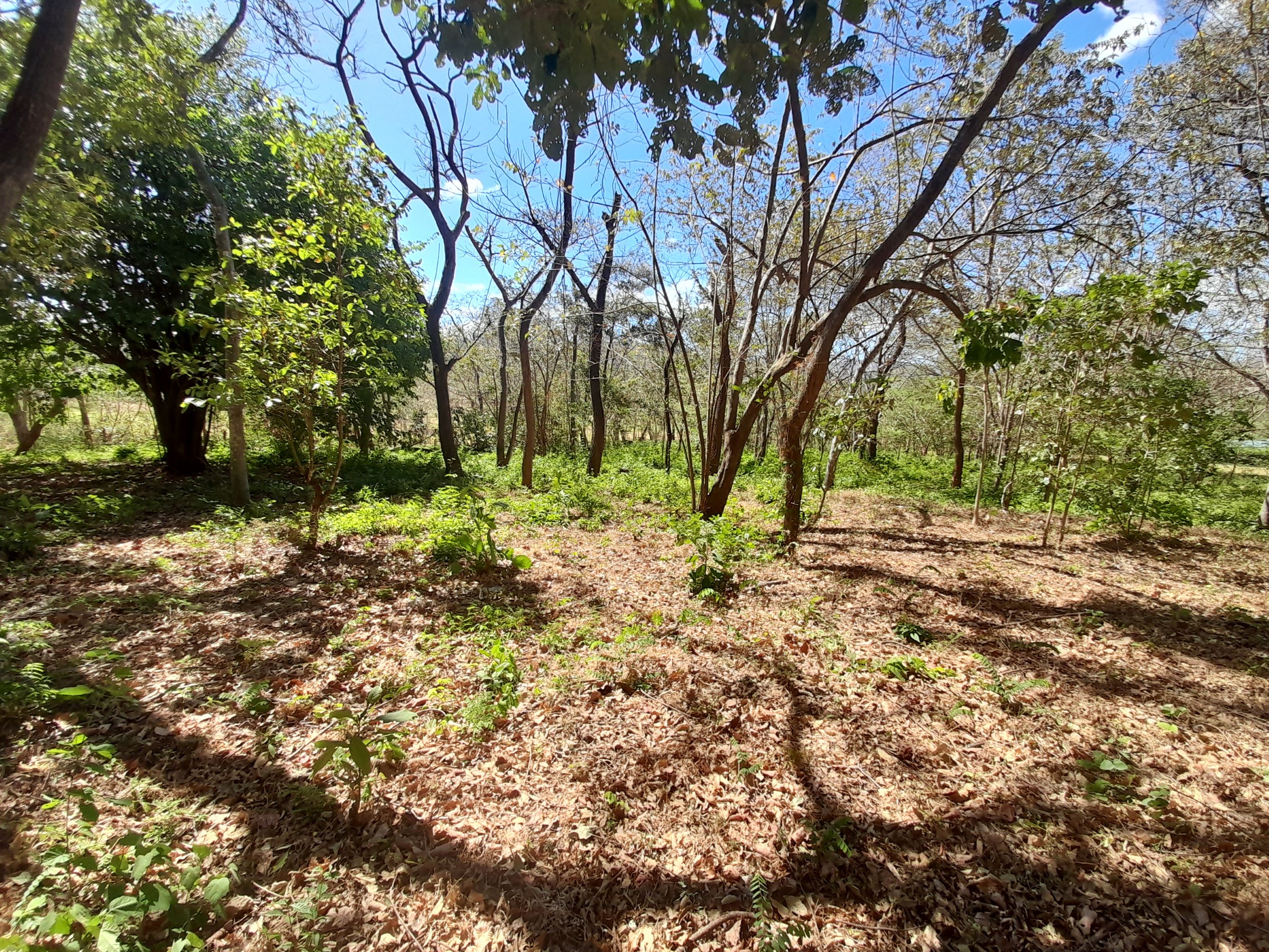 0 bed Land For Sale in Tamarindo, Guanacaste - thumb 7