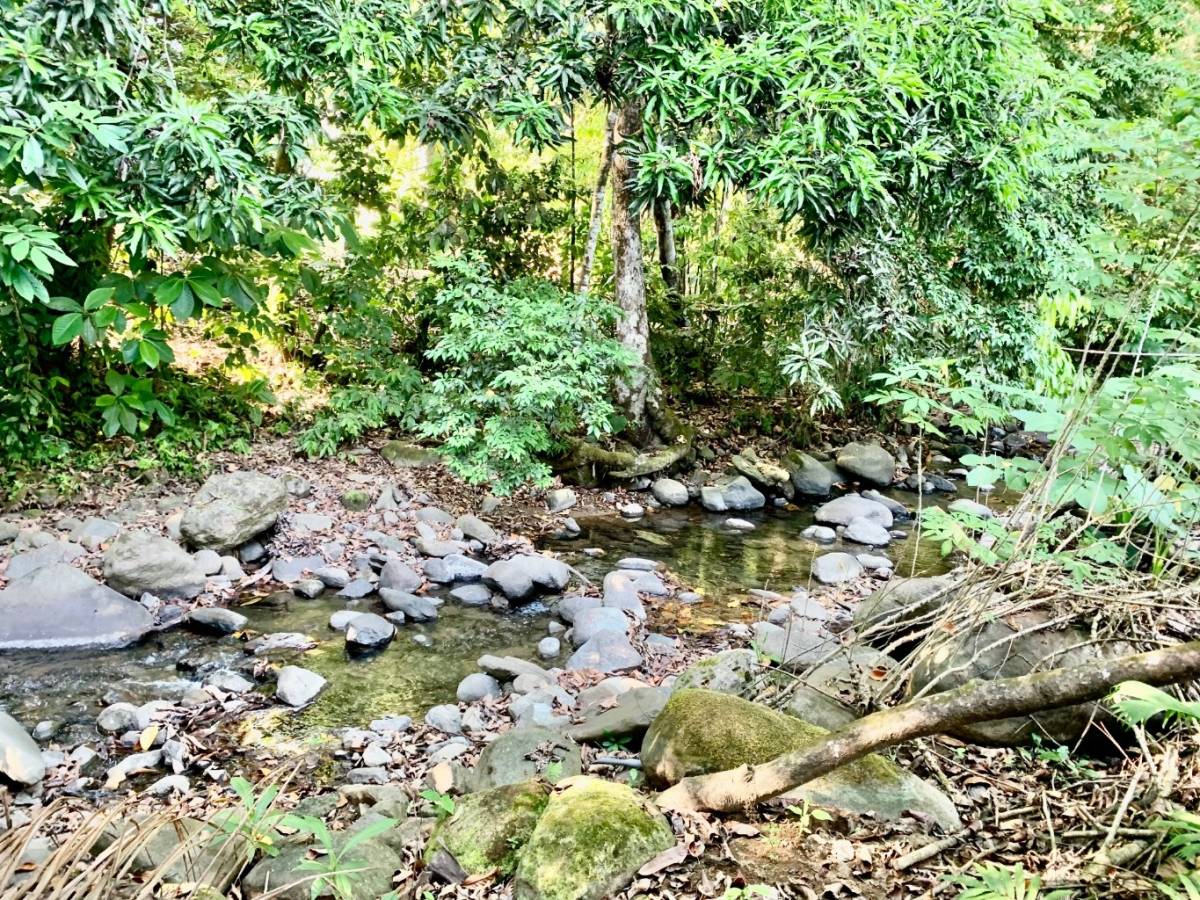 3 bed Single Family Homes For Sale in Ojochal, Puntarenas - thumb 22