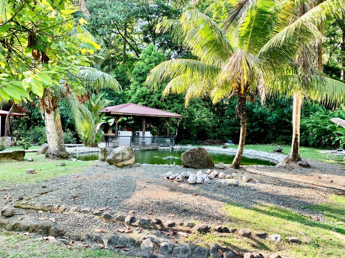 3 bed Single Family Homes For Sale in Ojochal, Puntarenas - thumb 6