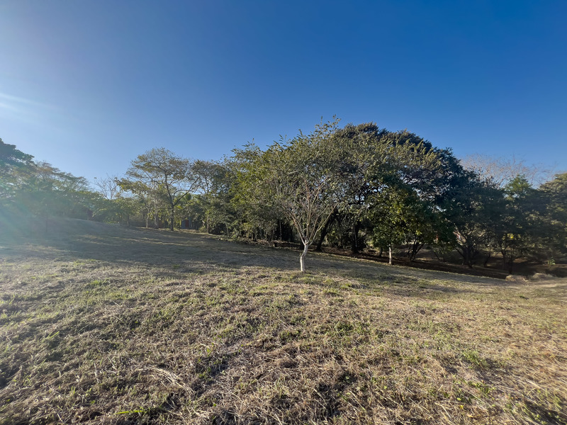 0 bed Land For Sale in Delicias, Puntarenas - 1