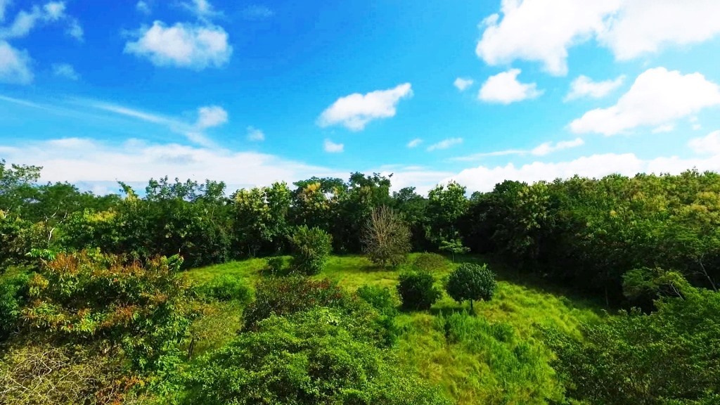 0 bed Land For Sale in Montezuma, Puntarenas - thumb 9
