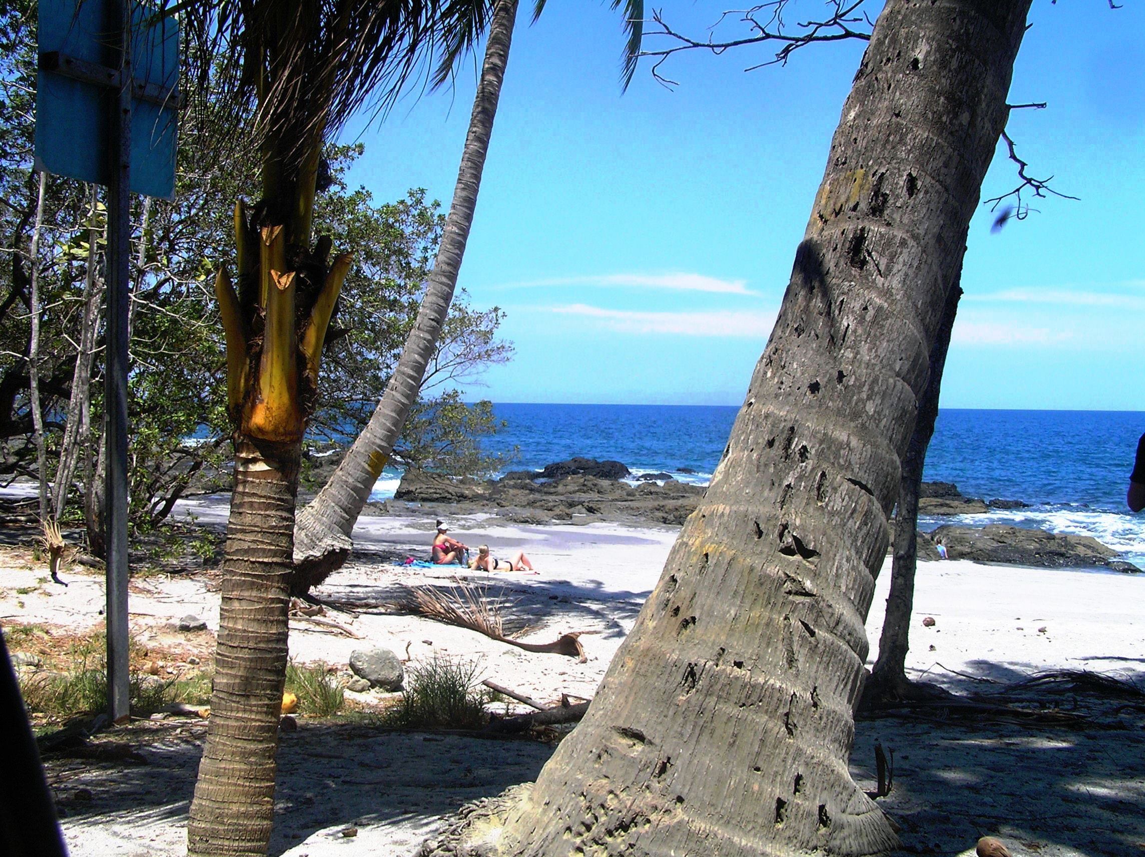 0 bed Land For Sale in Montezuma, Puntarenas - thumb 15