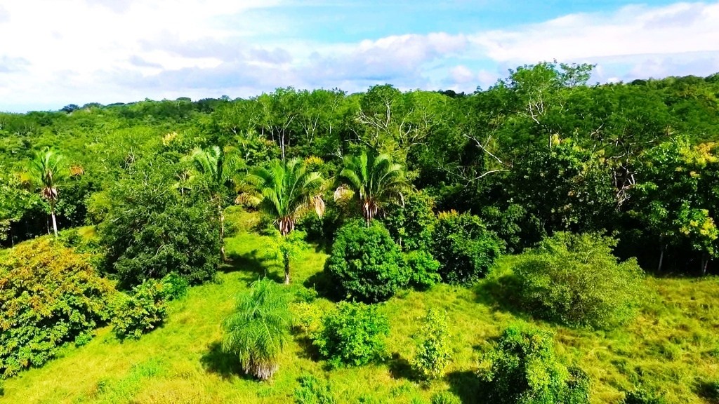 0 bed Land For Sale in Montezuma, Puntarenas - thumb 11