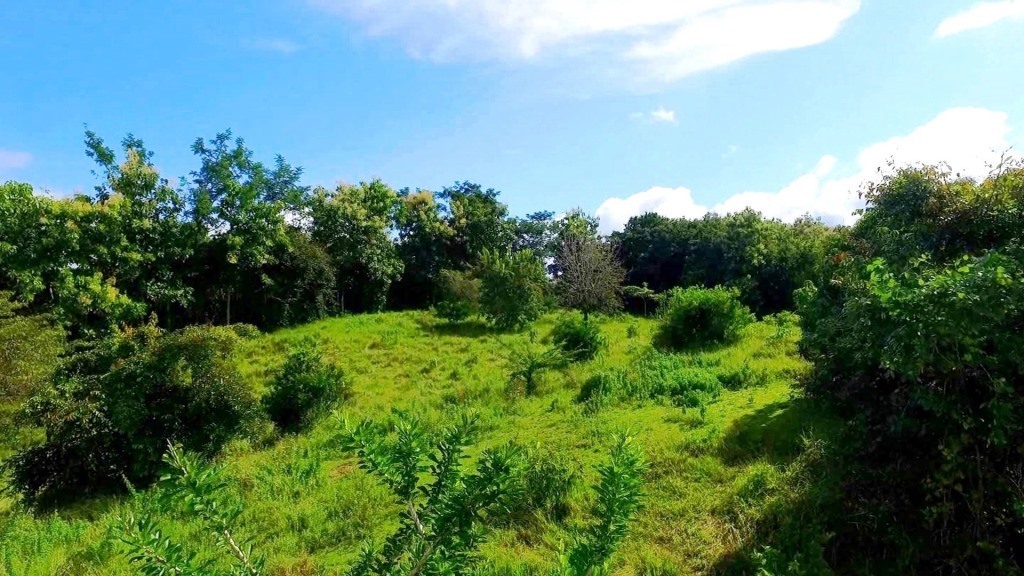 0 bed Land For Sale in Montezuma, Puntarenas - thumb 6