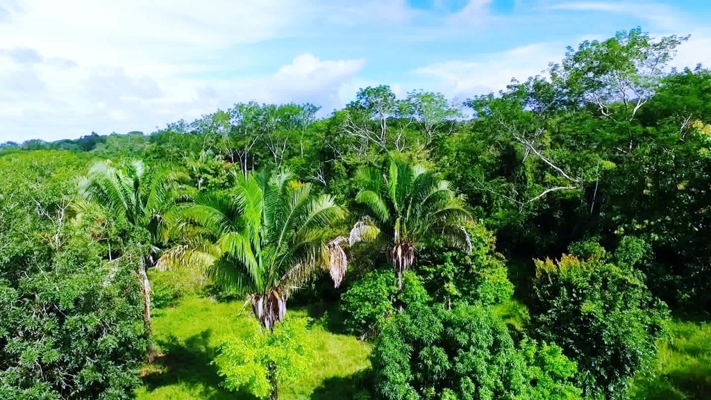 0 bed Land For Sale in Montezuma, Puntarenas - thumb 3