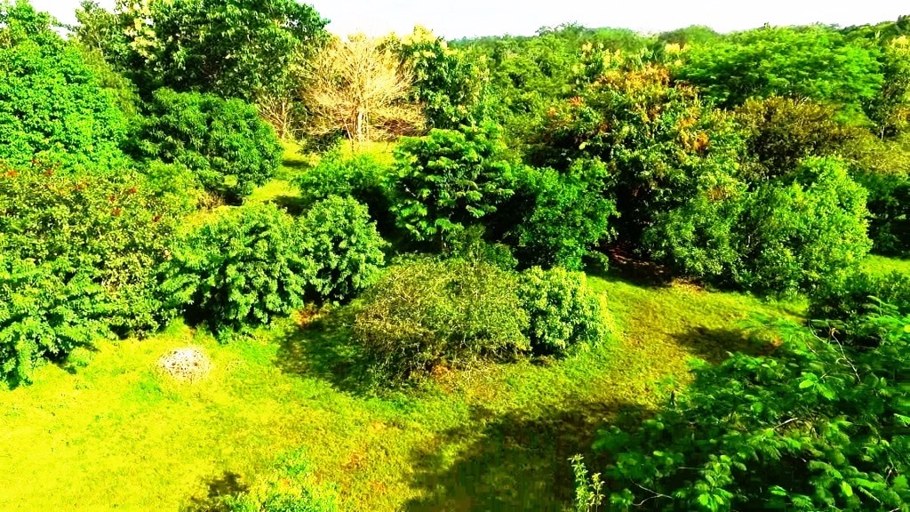 0 bed Land For Sale in Montezuma, Puntarenas - thumb 4