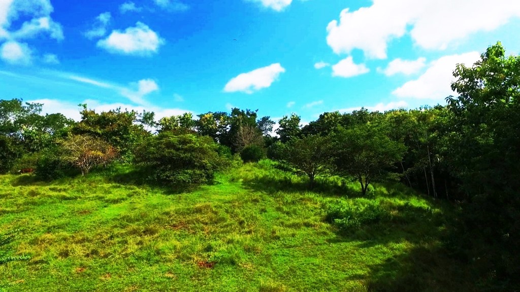 0 bed Land For Sale in Montezuma, Puntarenas - thumb 8