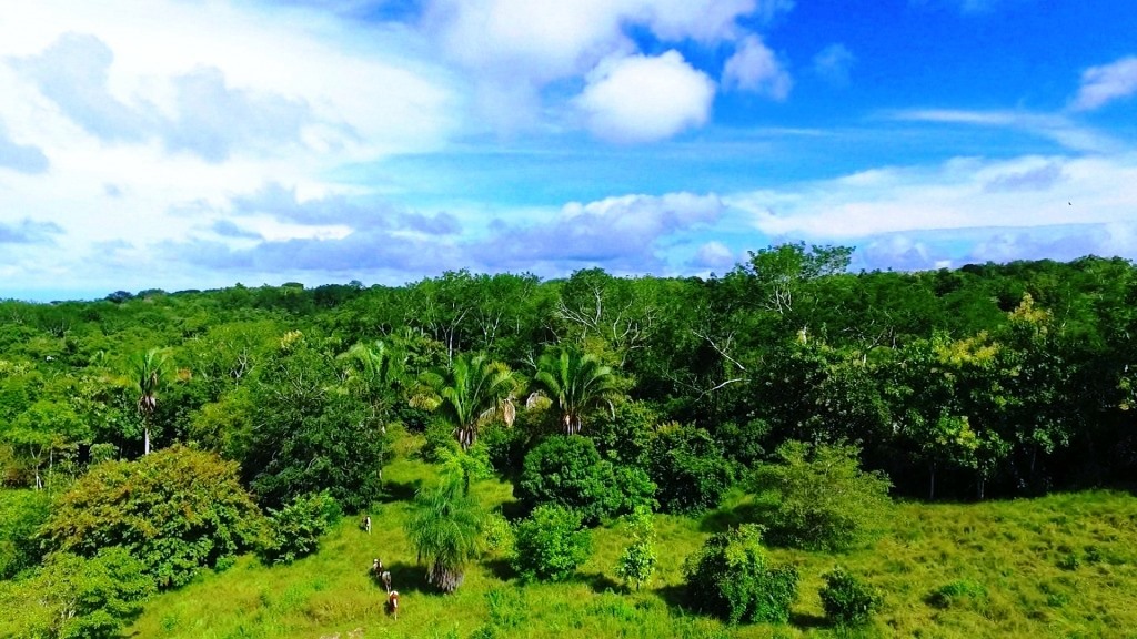 0 bed Land For Sale in Montezuma, Puntarenas - thumb 10
