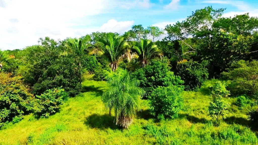 0 bed Land For Sale in Montezuma, Puntarenas - thumb 2