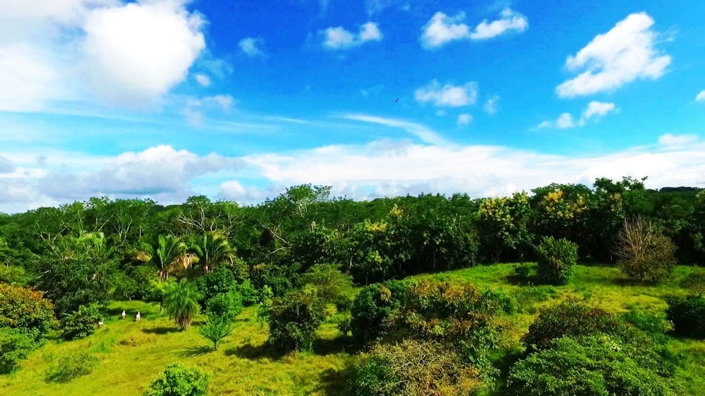 0 bed Land For Sale in Montezuma, Puntarenas - thumb 1