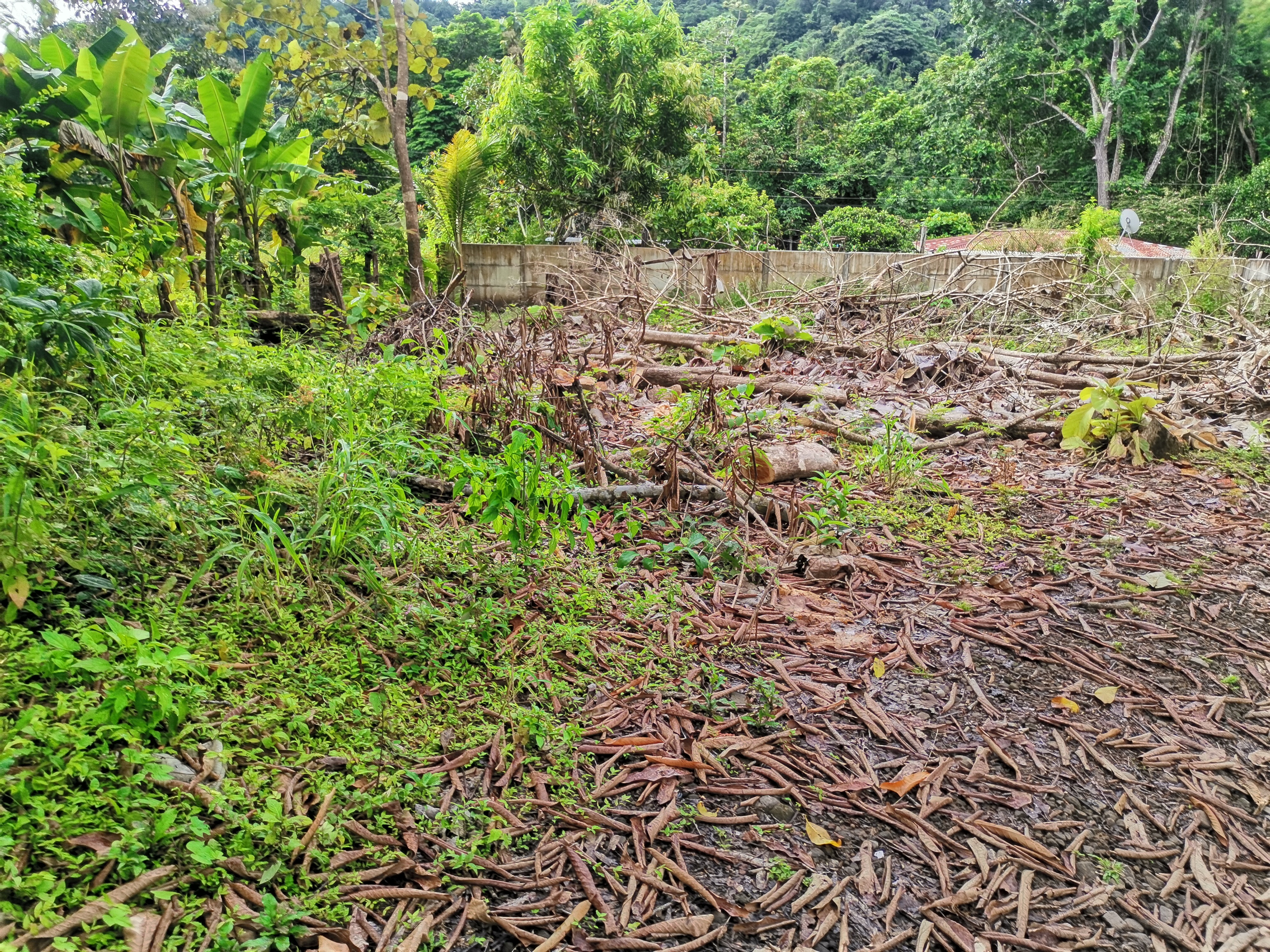 0 bed Land For Sale in Paquera, Puntarenas - thumb 5