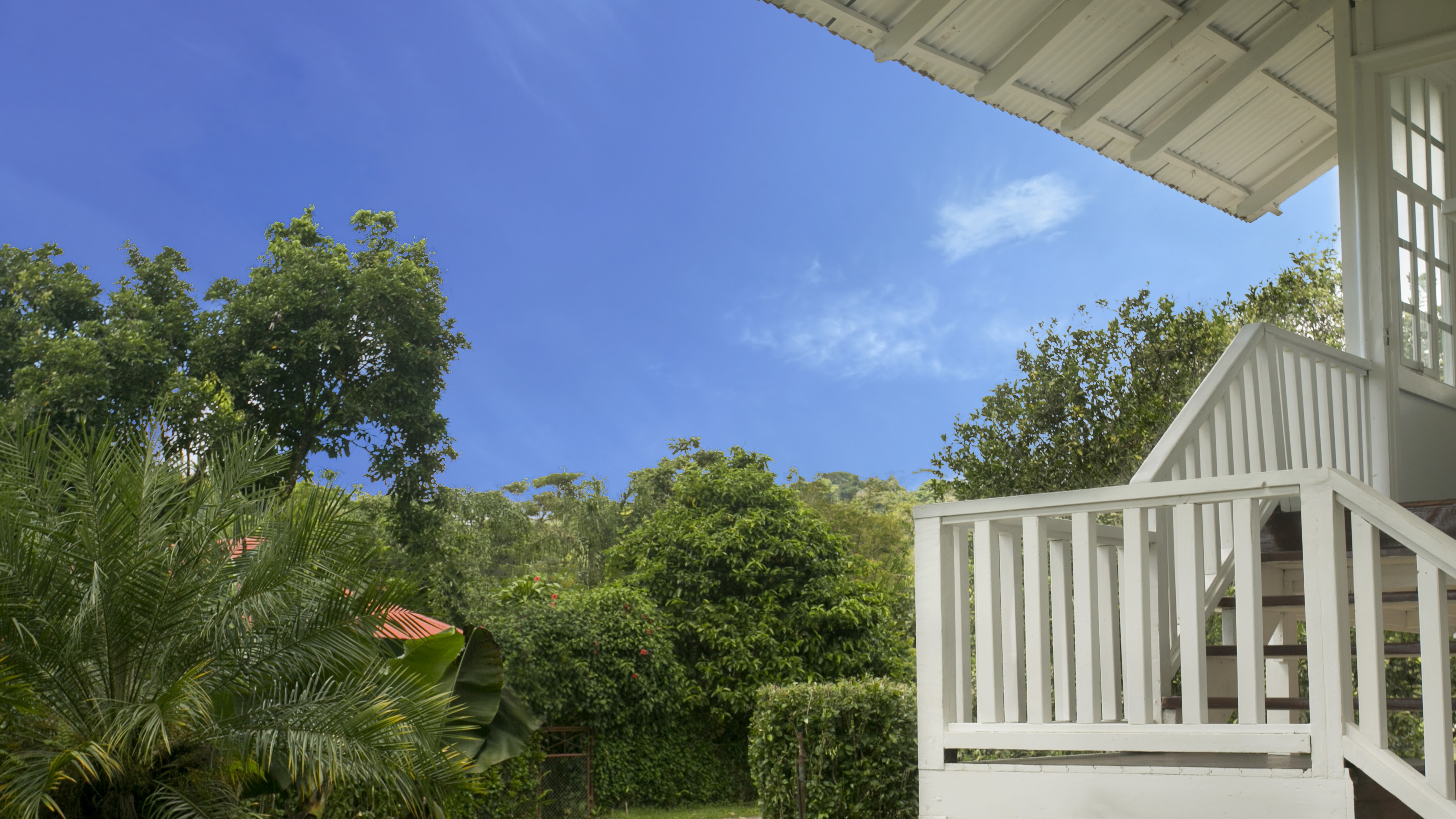 3 bed Single Family Homes For Sale in Golfito, Puntarenas - thumb 13