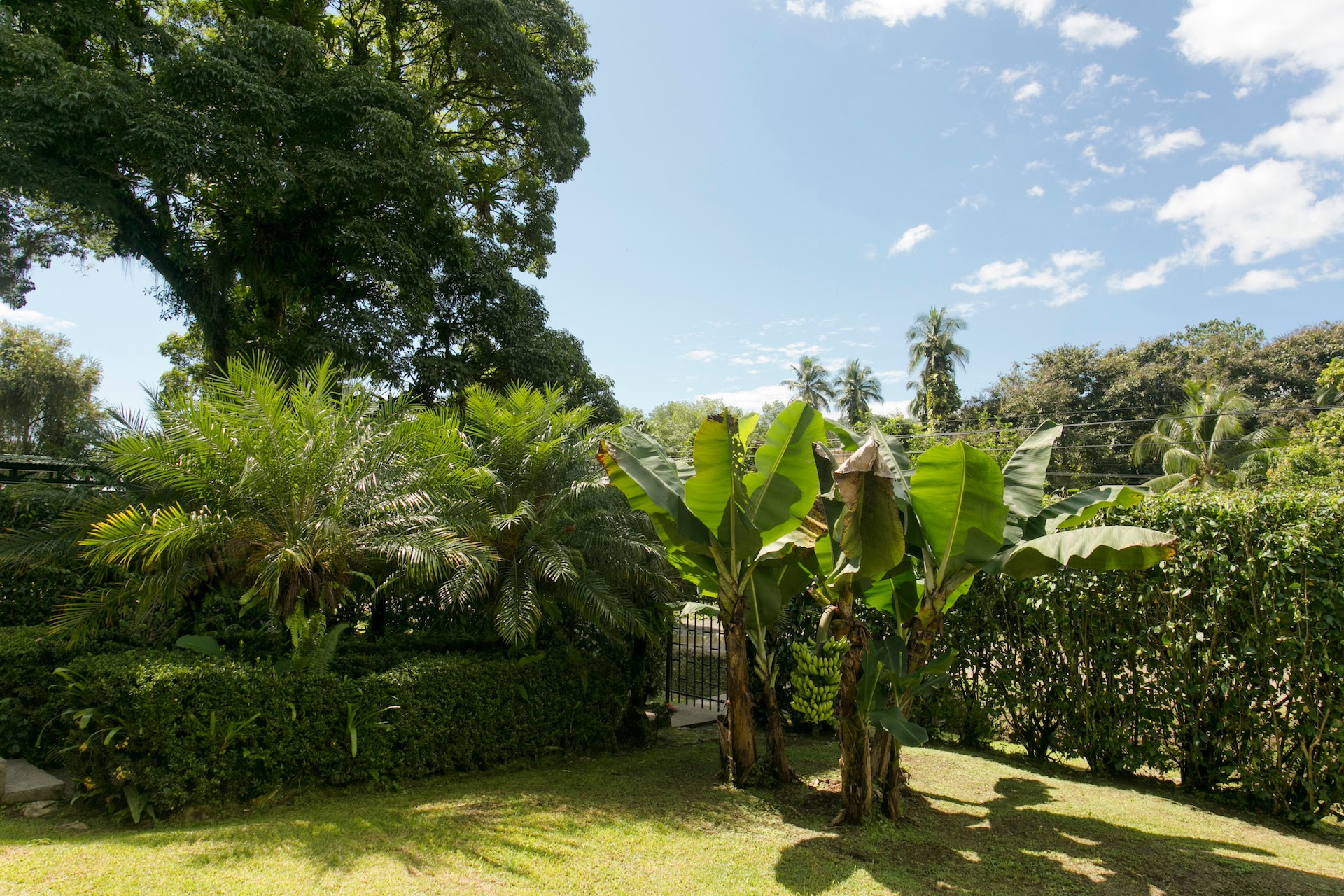 3 bed Single Family Homes For Sale in Golfito, Puntarenas - thumb 18