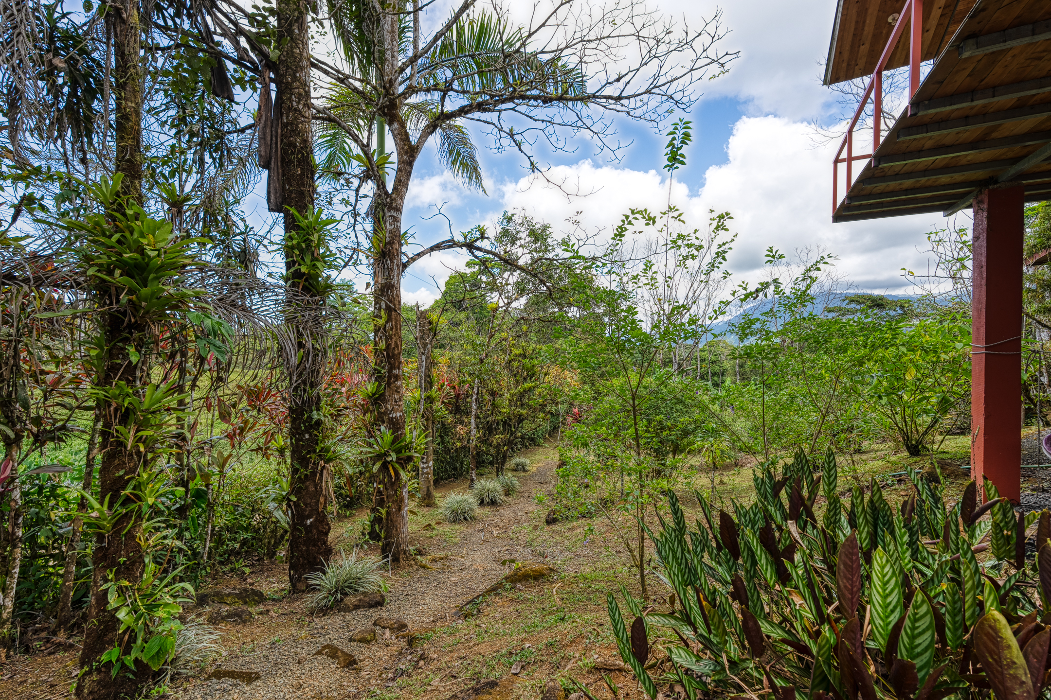 2 bed Single Family Homes For Sale in Dominical, Puntarenas - thumb 29