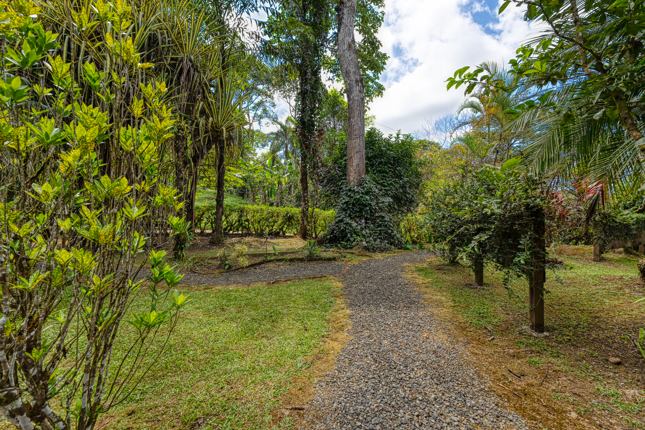 2 bed Single Family Homes For Sale in Dominical, Puntarenas - thumb 13