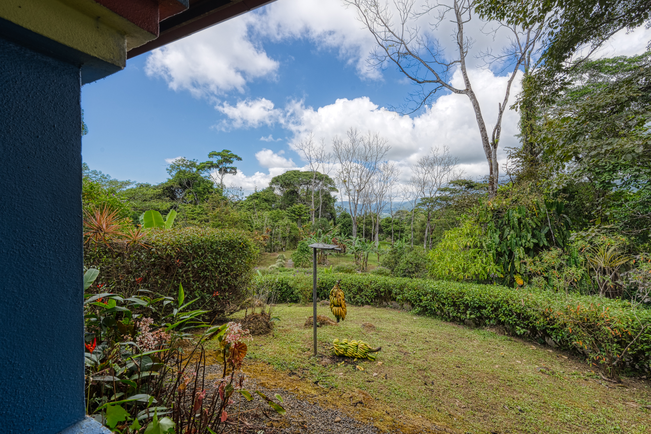 2 bed Single Family Homes For Sale in Dominical, Puntarenas - thumb 28