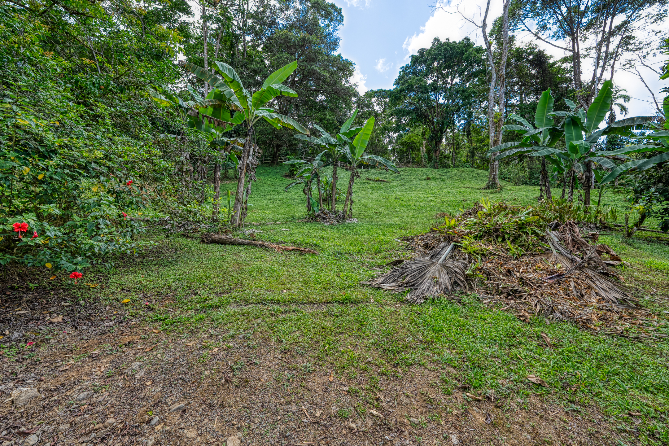 2 bed Single Family Homes For Sale in Dominical, Puntarenas - thumb 10