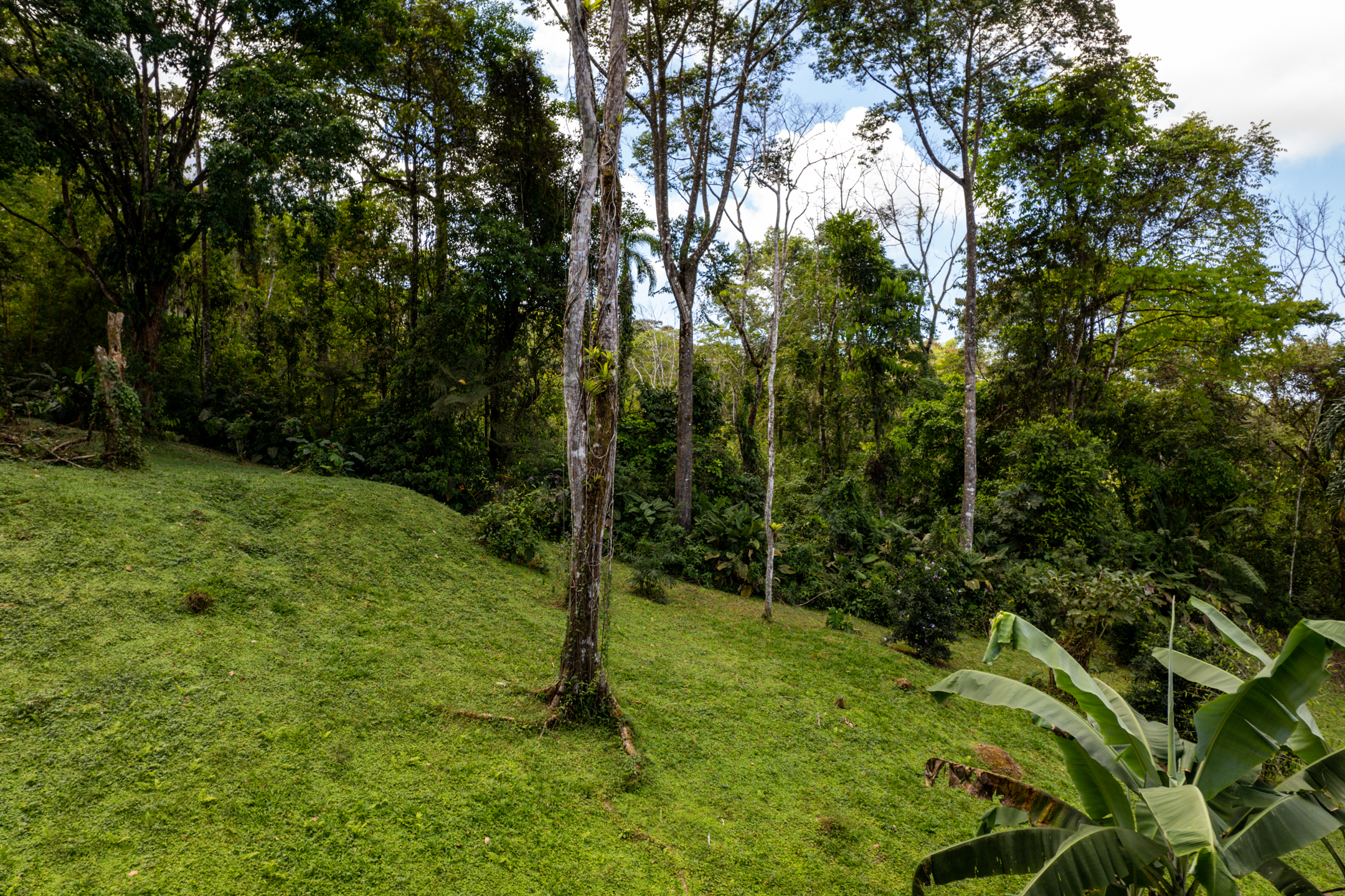 2 bed Single Family Homes For Sale in Dominical, Puntarenas - thumb 7