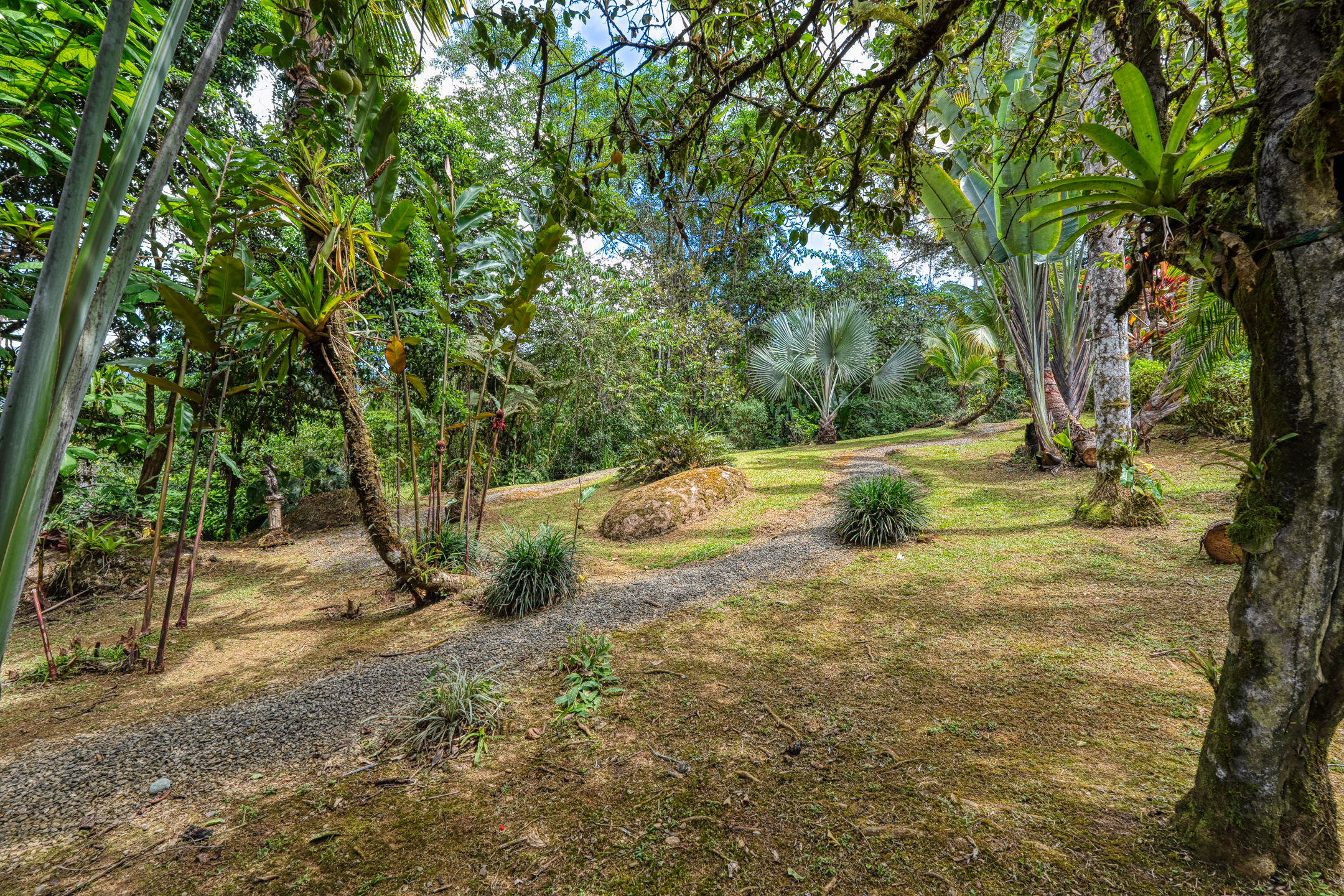 2 bed Single Family Homes For Sale in Dominical, Puntarenas - thumb 8