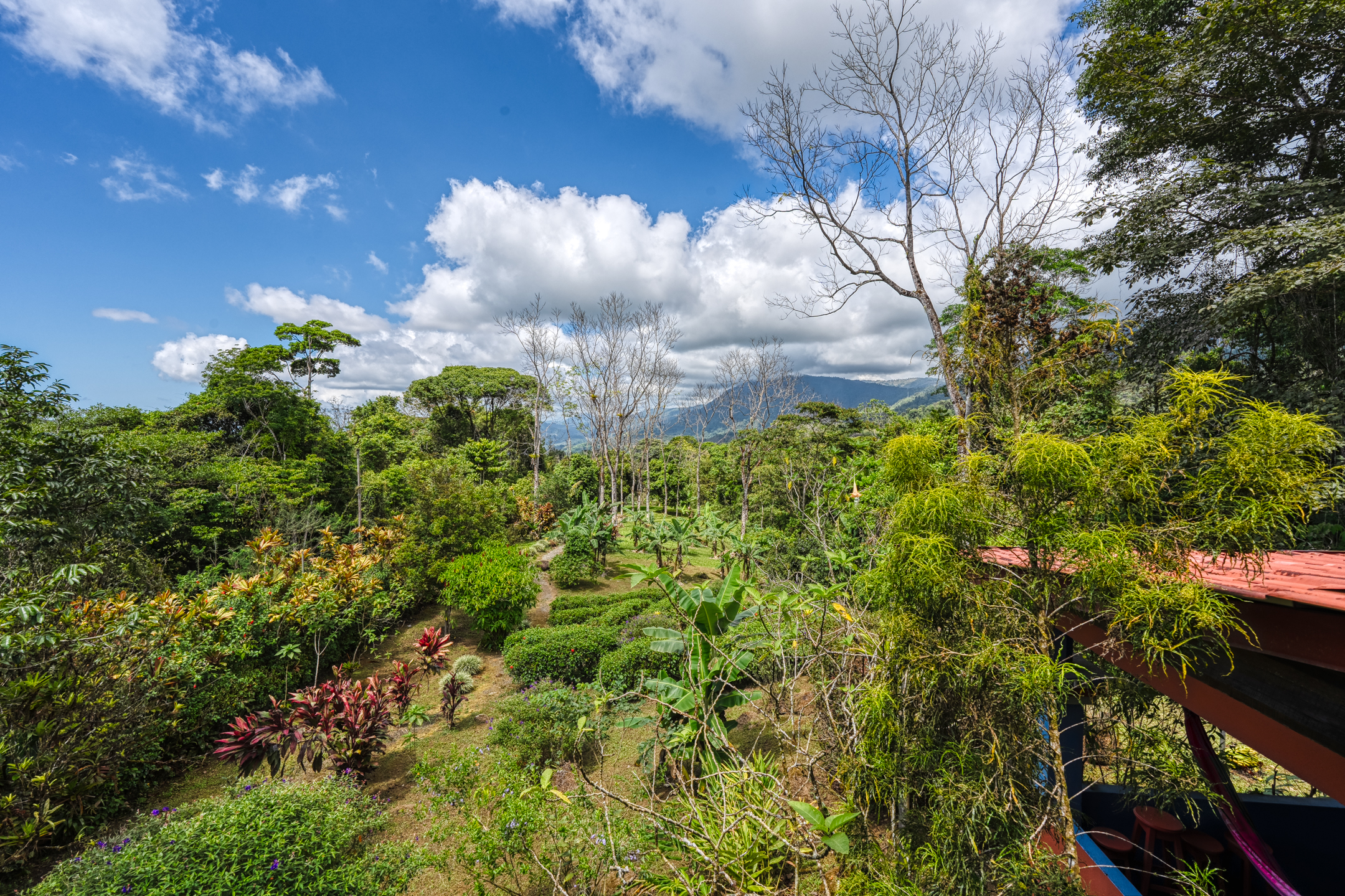 2 bed Single Family Homes For Sale in Dominical, Puntarenas - thumb 30