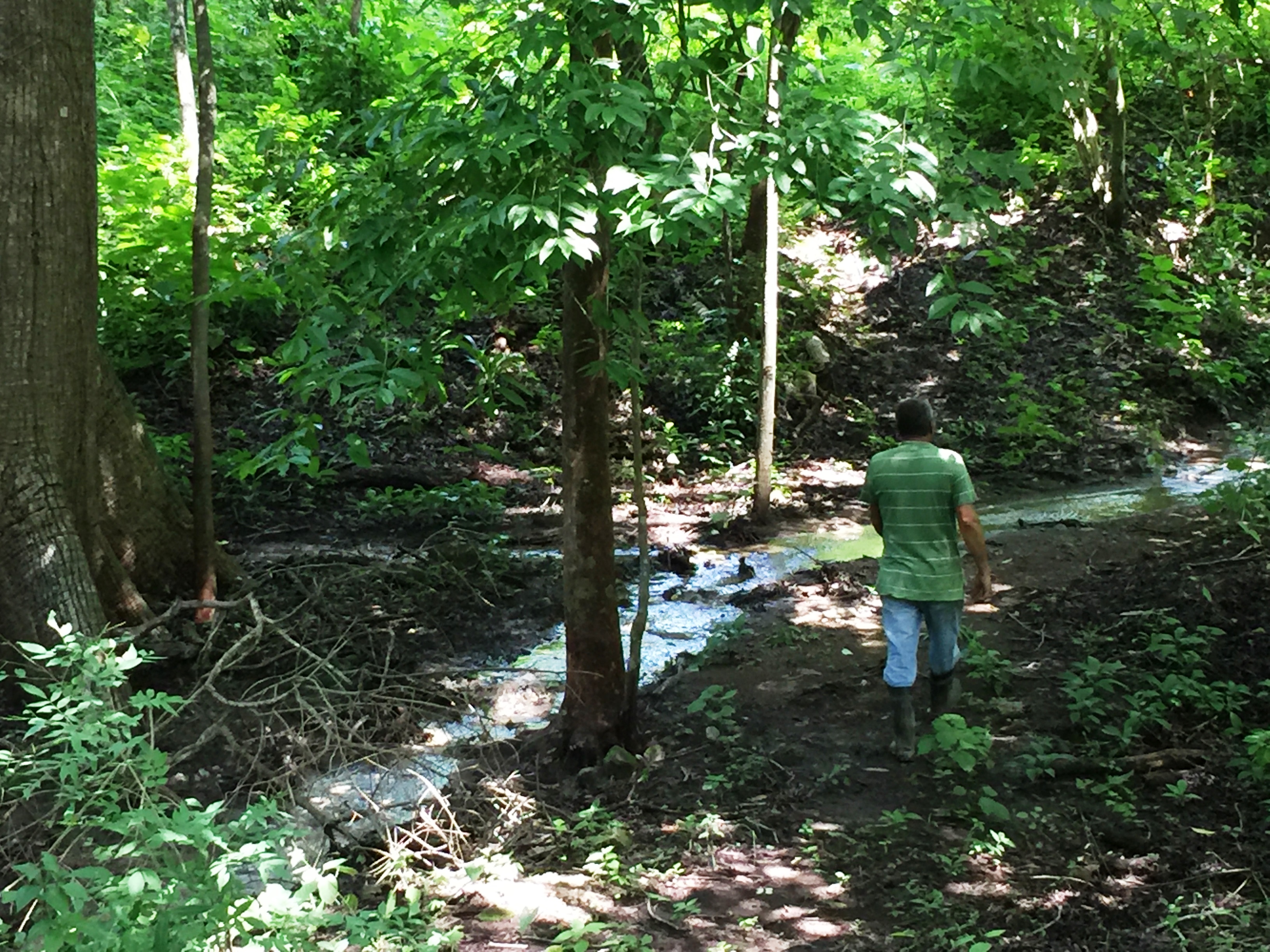 0 bed Land For Sale in Paquera, Puntarenas - thumb 6