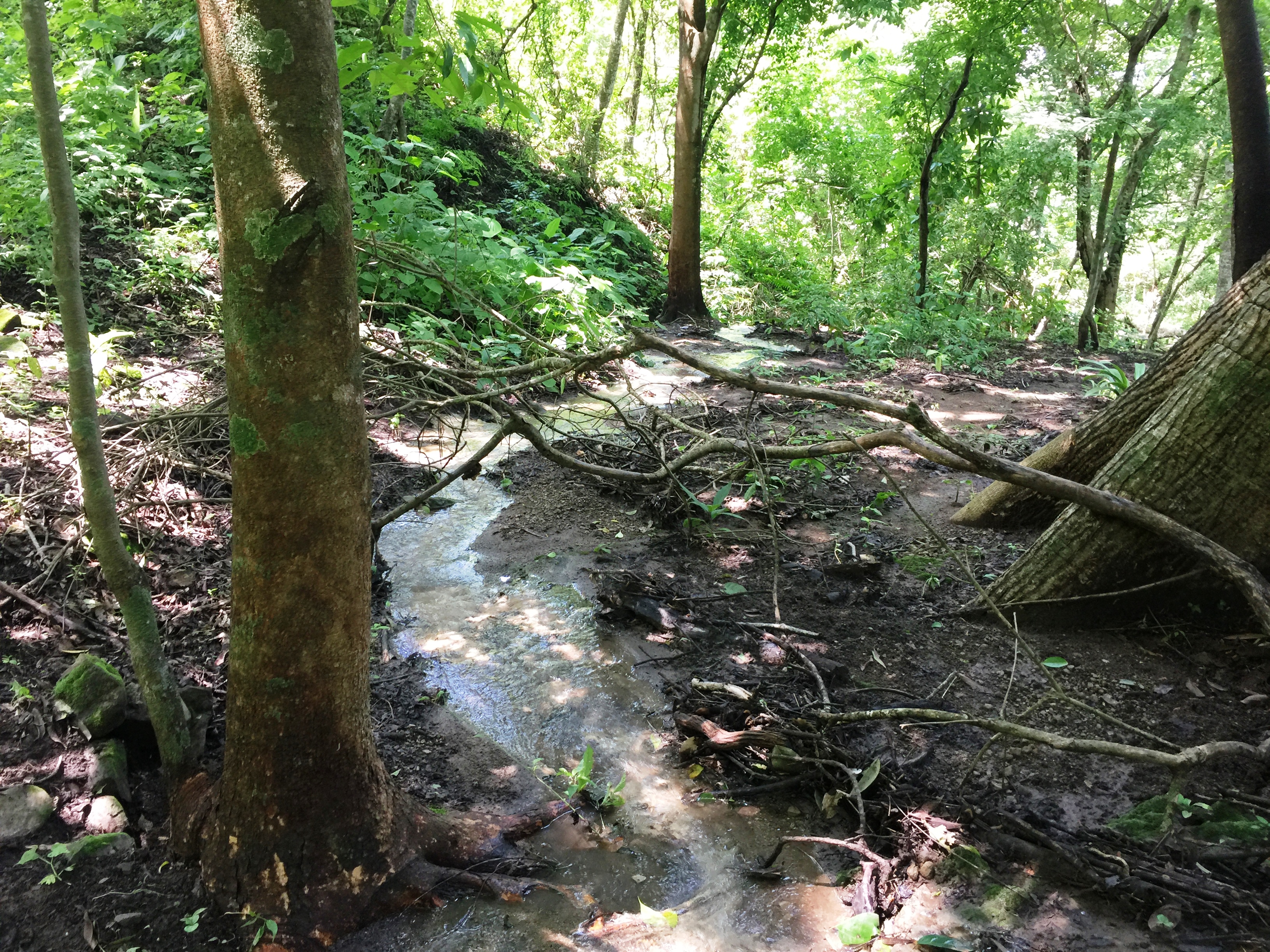 0 bed Land For Sale in Paquera, Puntarenas - thumb 9