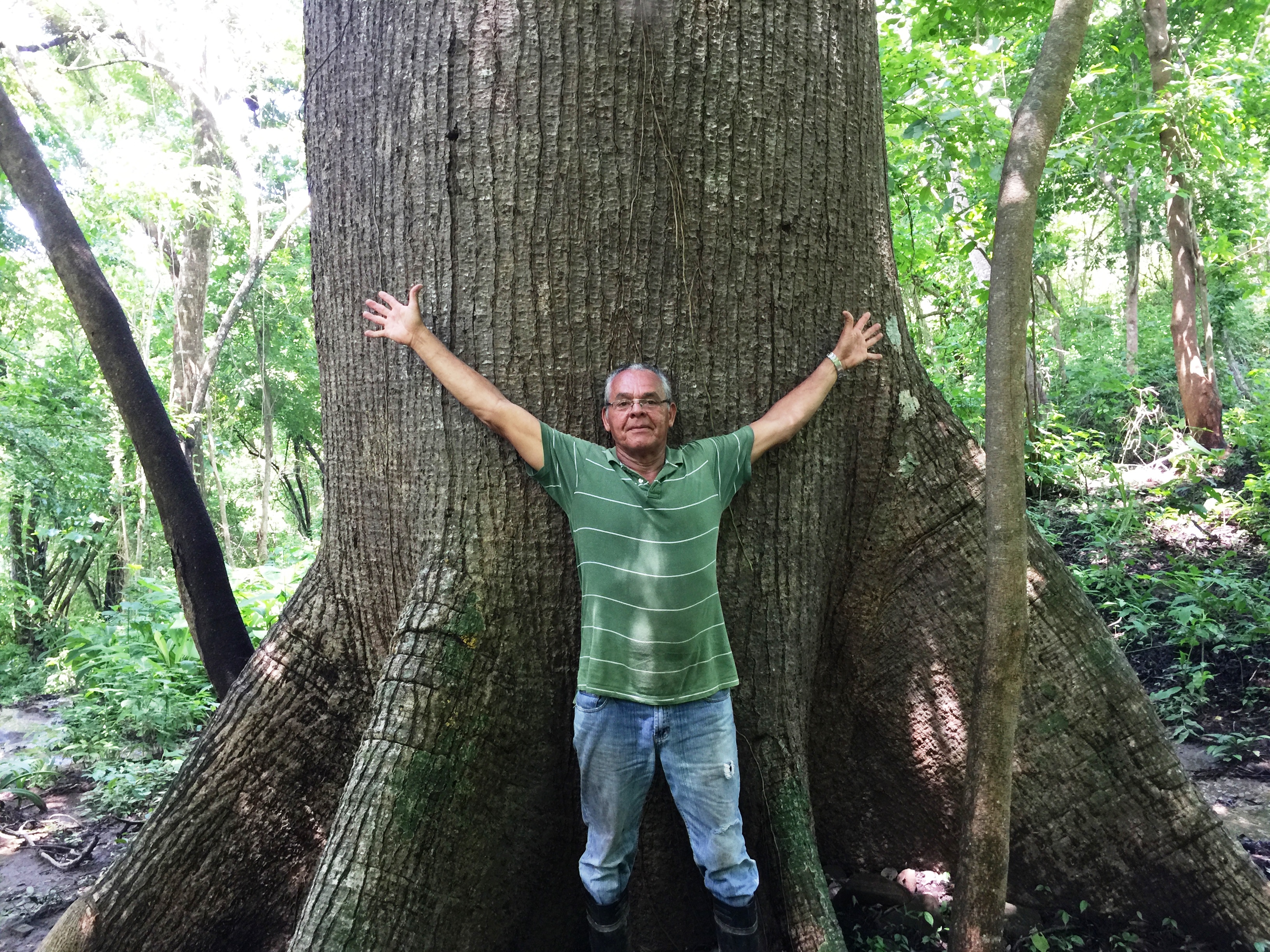 0 bed Land For Sale in Paquera, Puntarenas - thumb 8