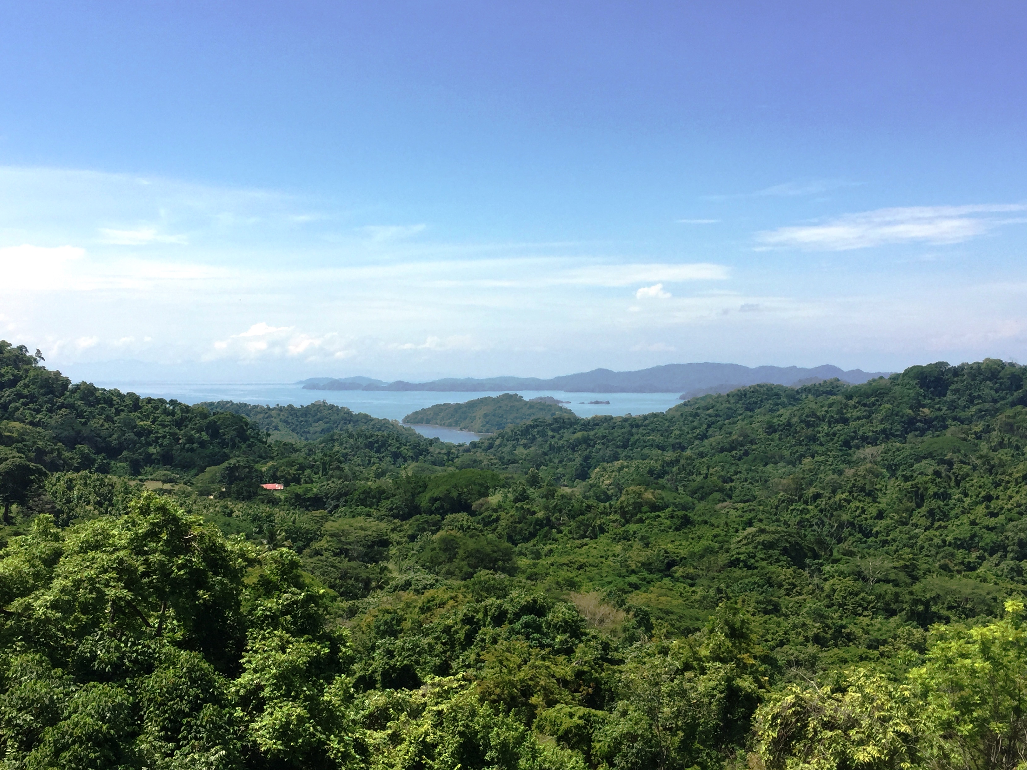 0 bed Land For Sale in Paquera, Puntarenas - thumb 5