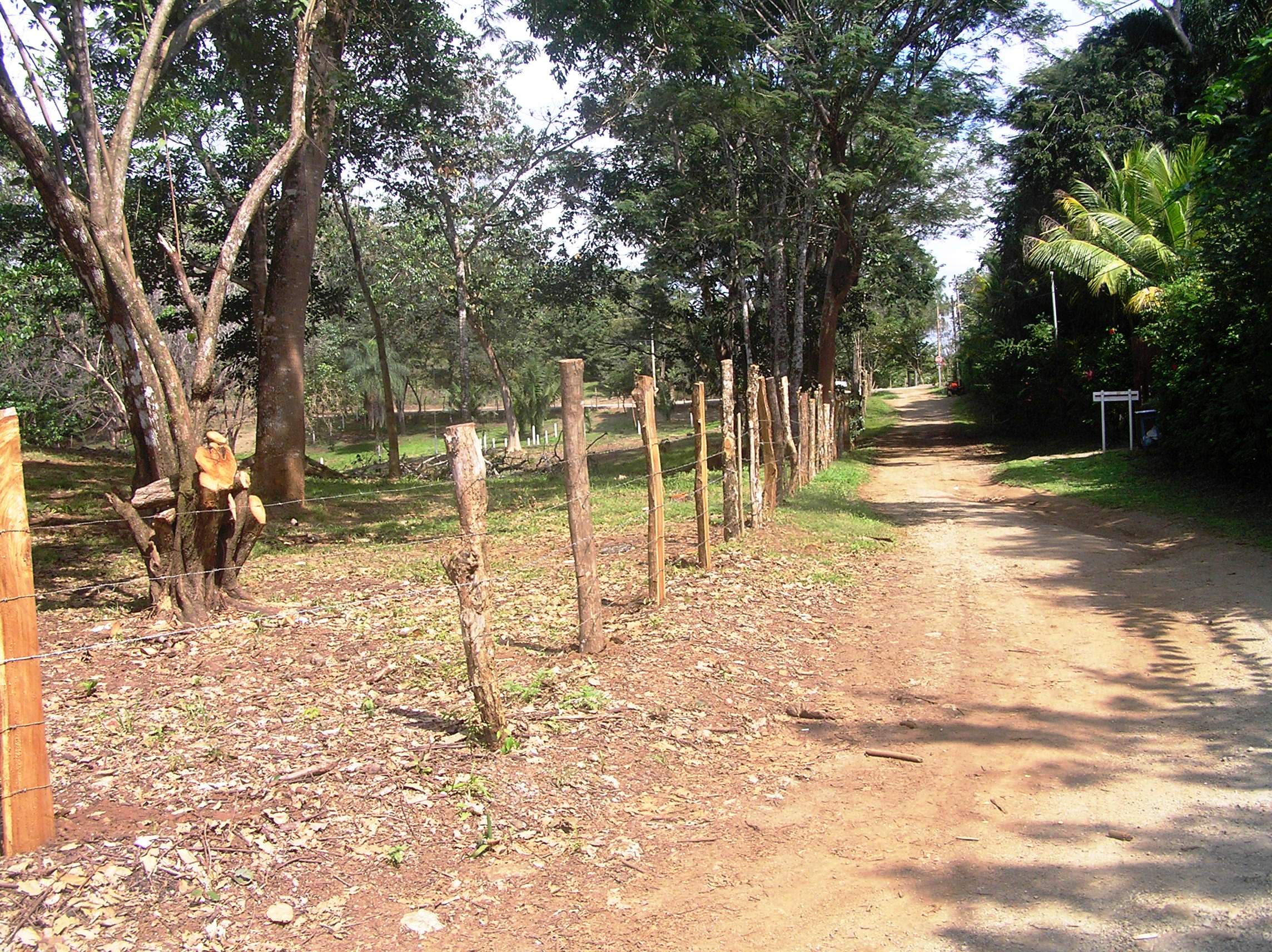 0 bed Land For Sale in Montezuma, Puntarenas - thumb 6