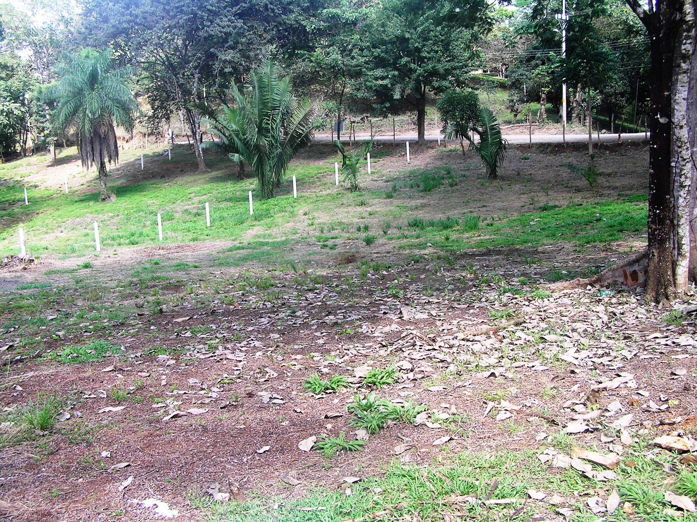 0 bed Land For Sale in Montezuma, Puntarenas - thumb 5