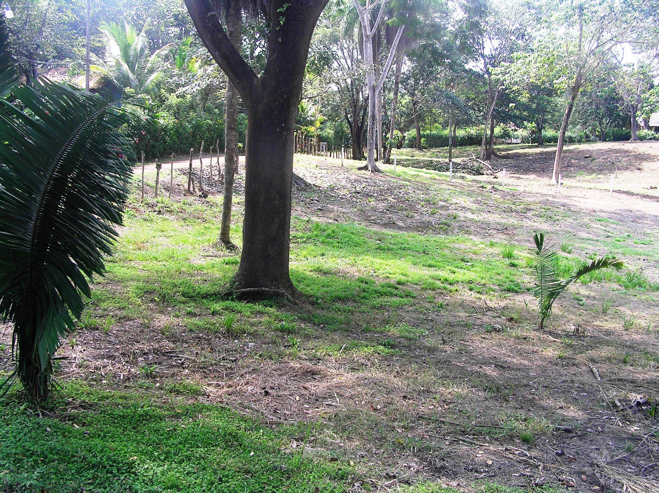 0 bed Land For Sale in Montezuma, Puntarenas - thumb 3