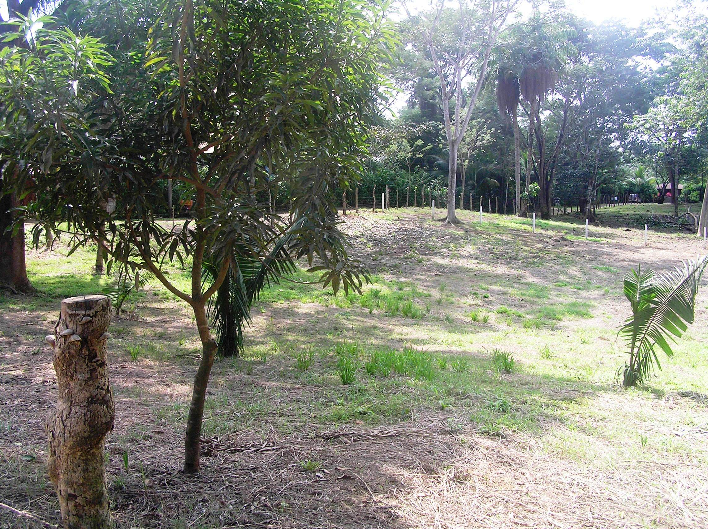 0 bed Land For Sale in Montezuma, Puntarenas - thumb 1