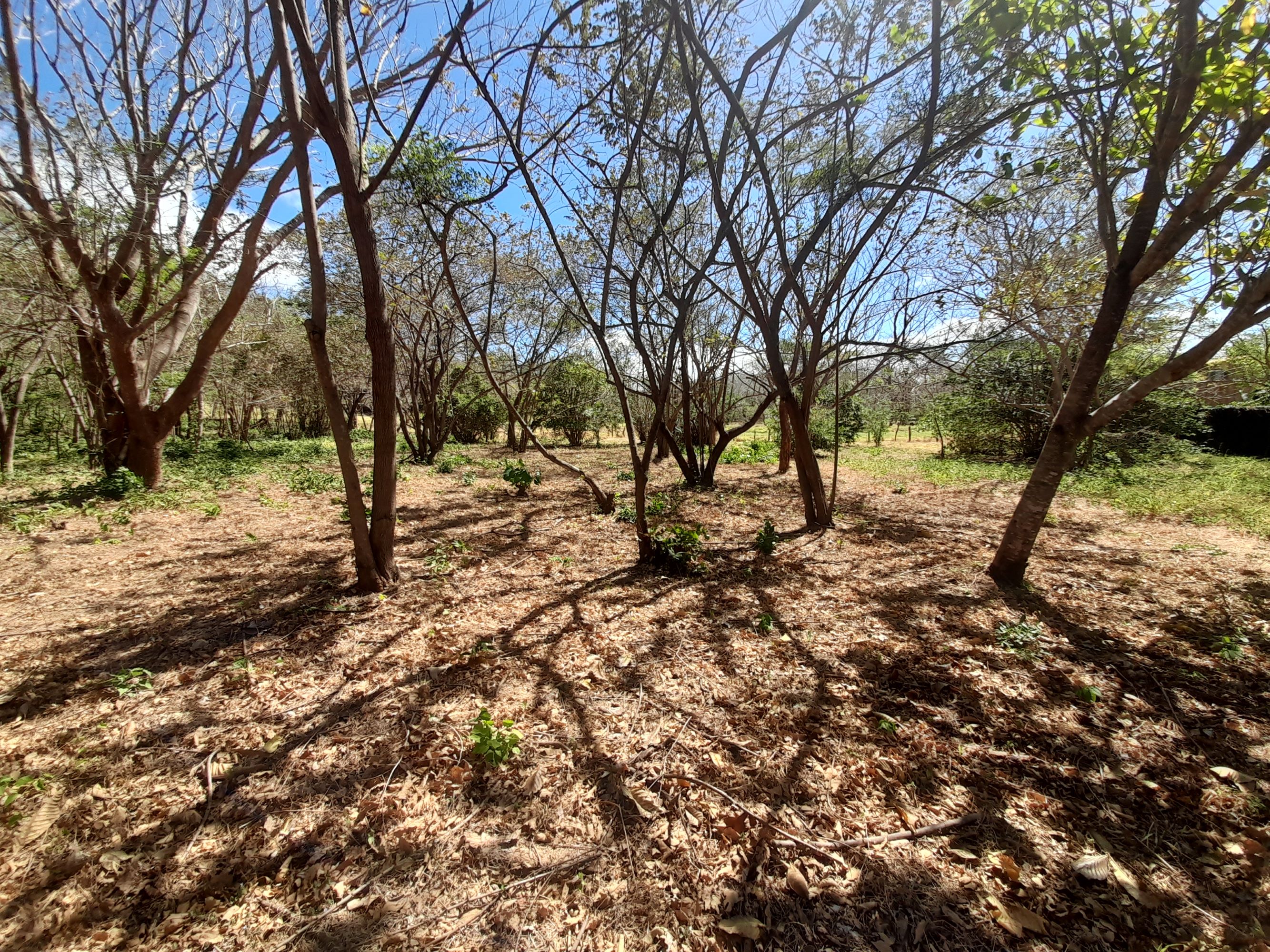 0 bed Land For Sale in Tamarindo, Guanacaste - thumb 7