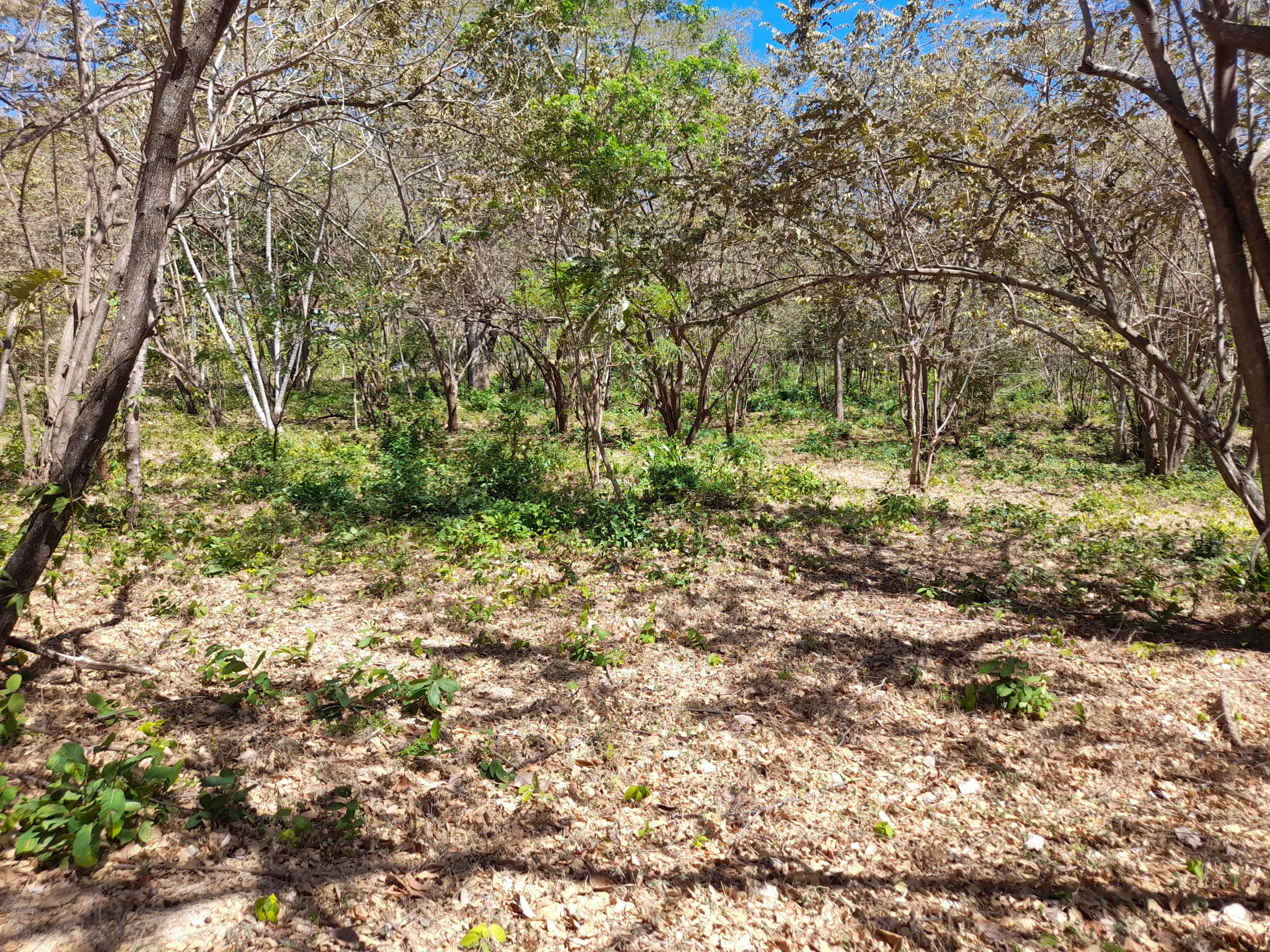 0 bed Land For Sale in Tamarindo, Guanacaste - thumb 10