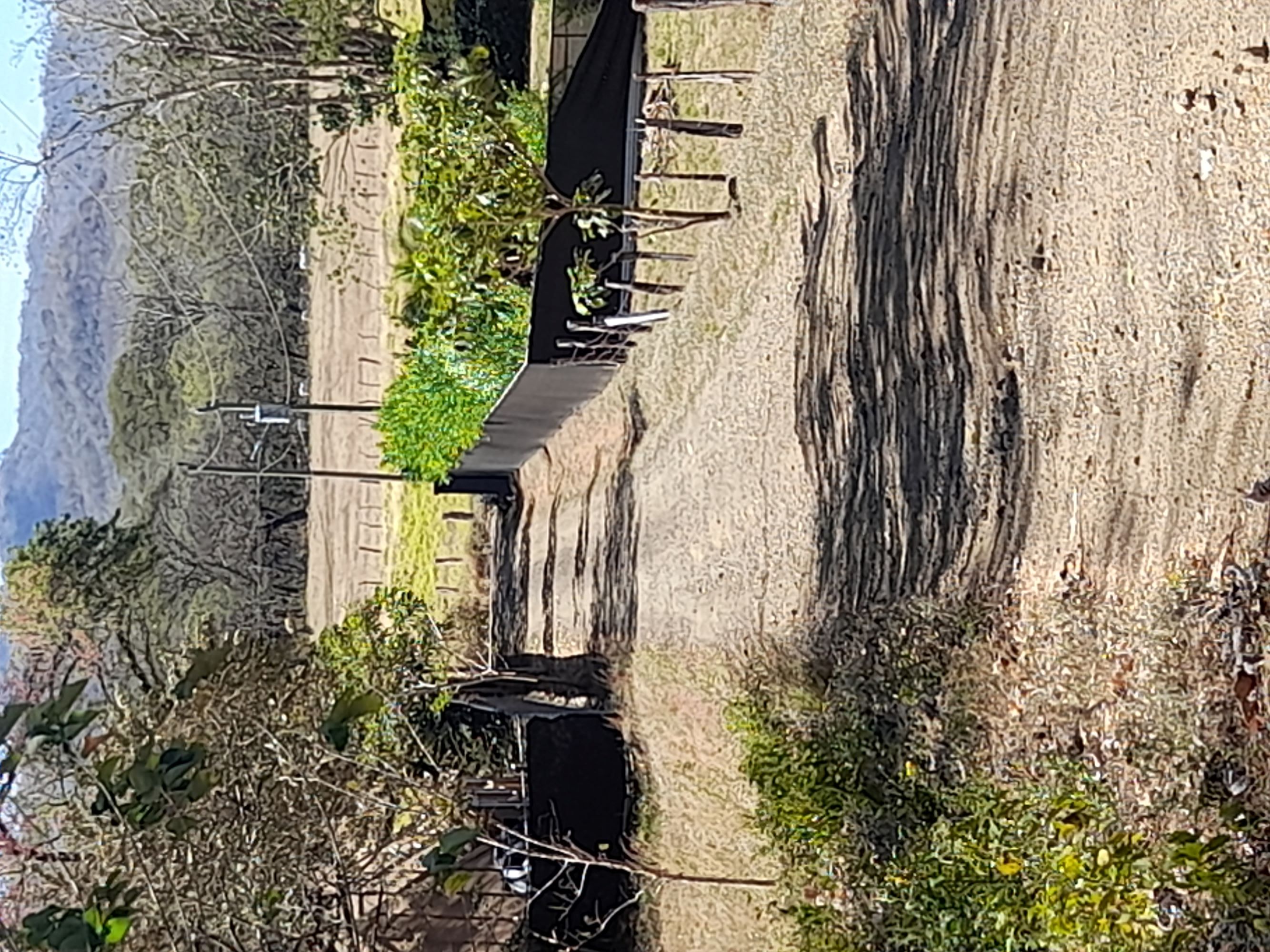 0 bed Land For Sale in Tamarindo, Guanacaste - thumb 6