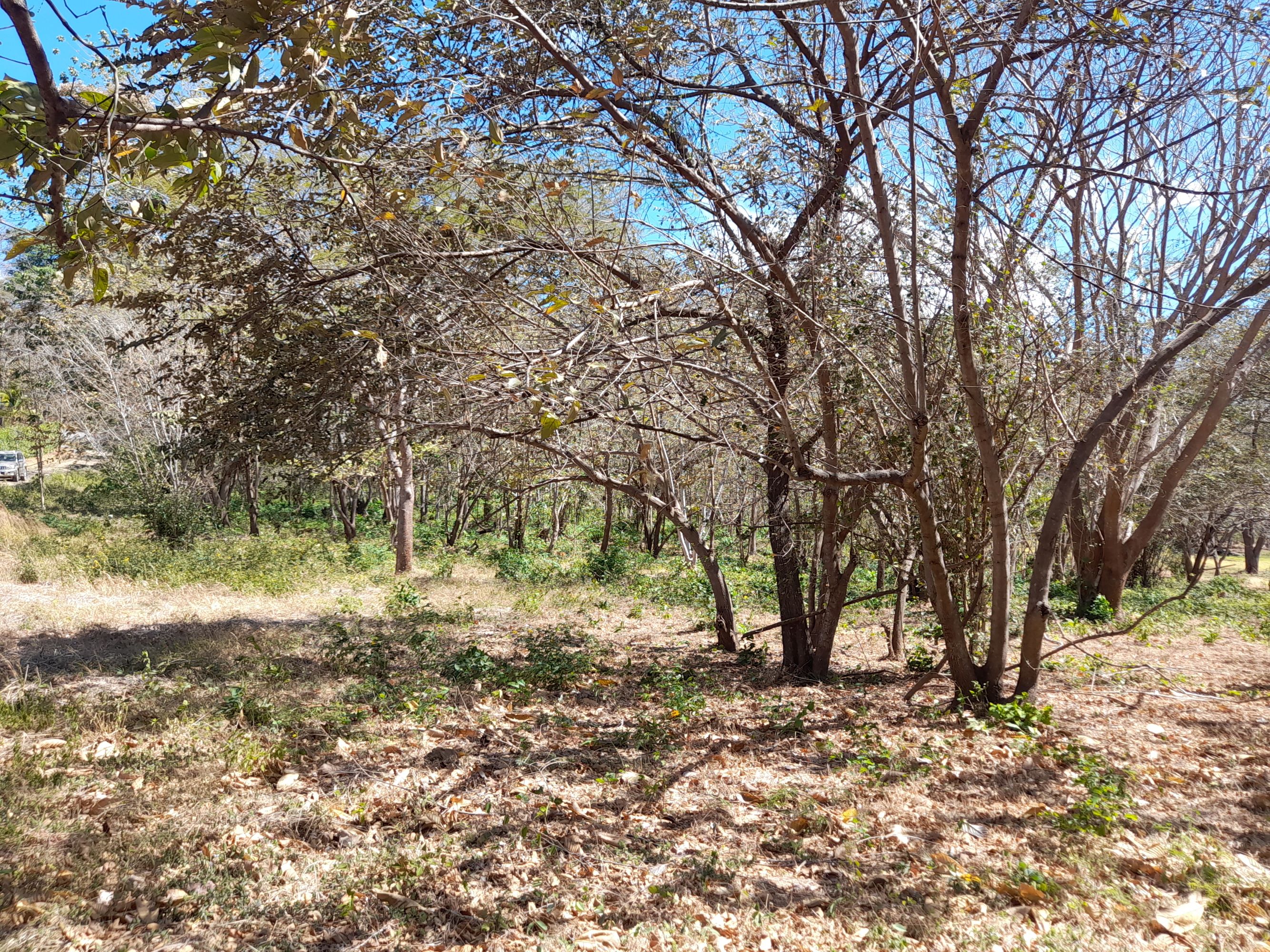 0 bed Land For Sale in Tamarindo, Guanacaste - thumb 2
