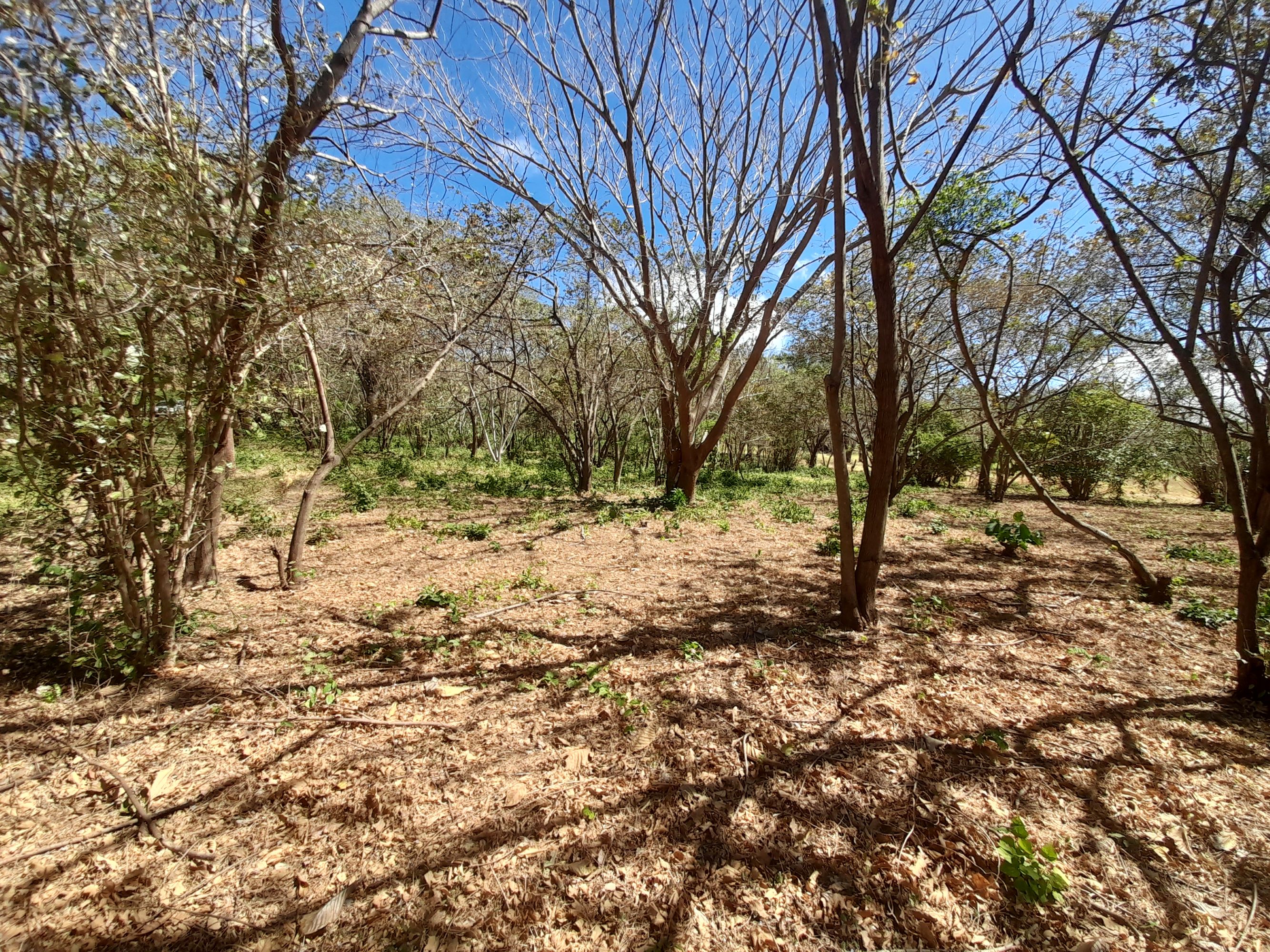 0 bed Land For Sale in Tamarindo, Guanacaste - thumb 1