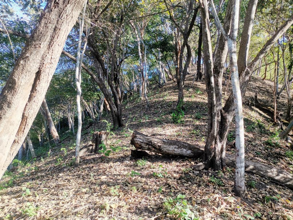 0 bed Land For Sale in Paquera, Puntarenas - thumb 7