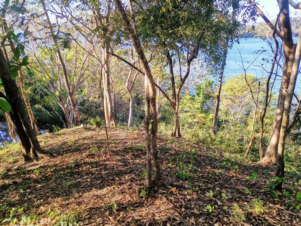 0 bed Land For Sale in Paquera, Puntarenas - thumb 4