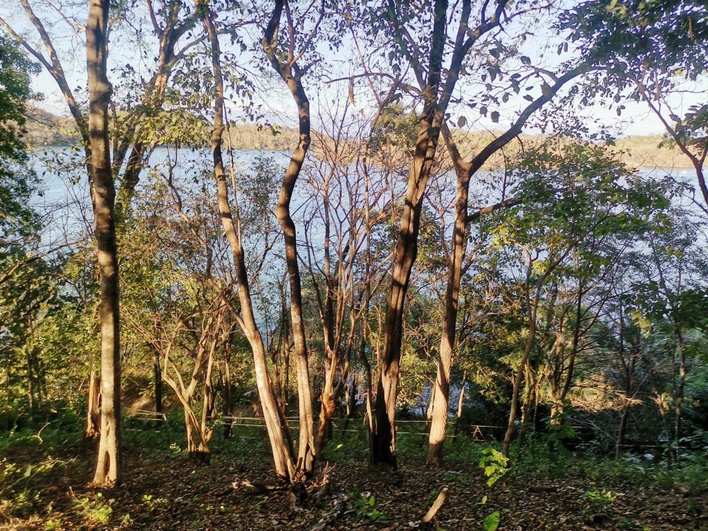 0 bed Land For Sale in Paquera, Puntarenas - thumb 5